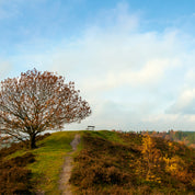 Autumn calm