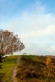 Autumn calm