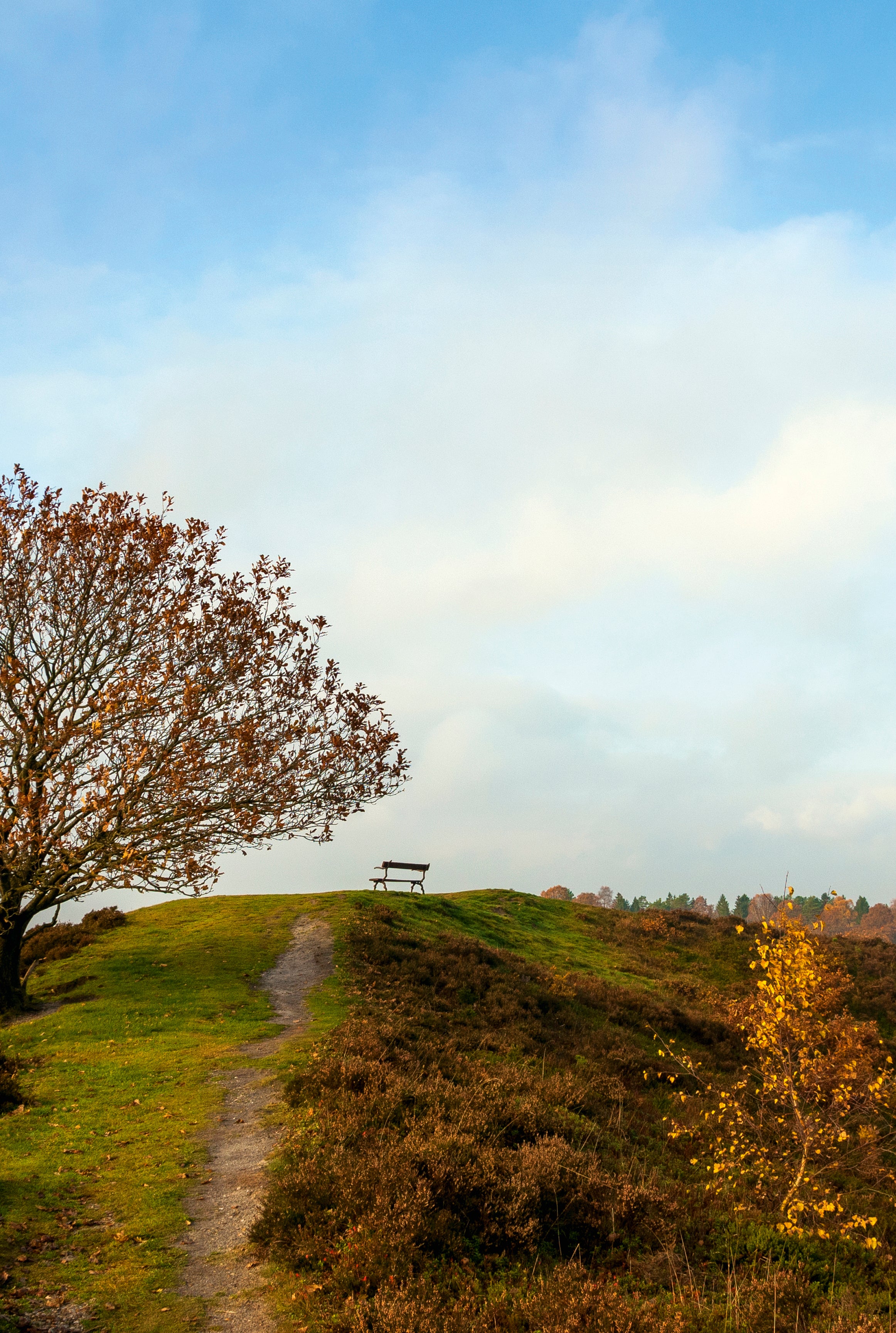 Autumn calm