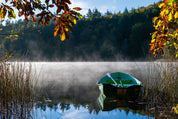 Autumndrift