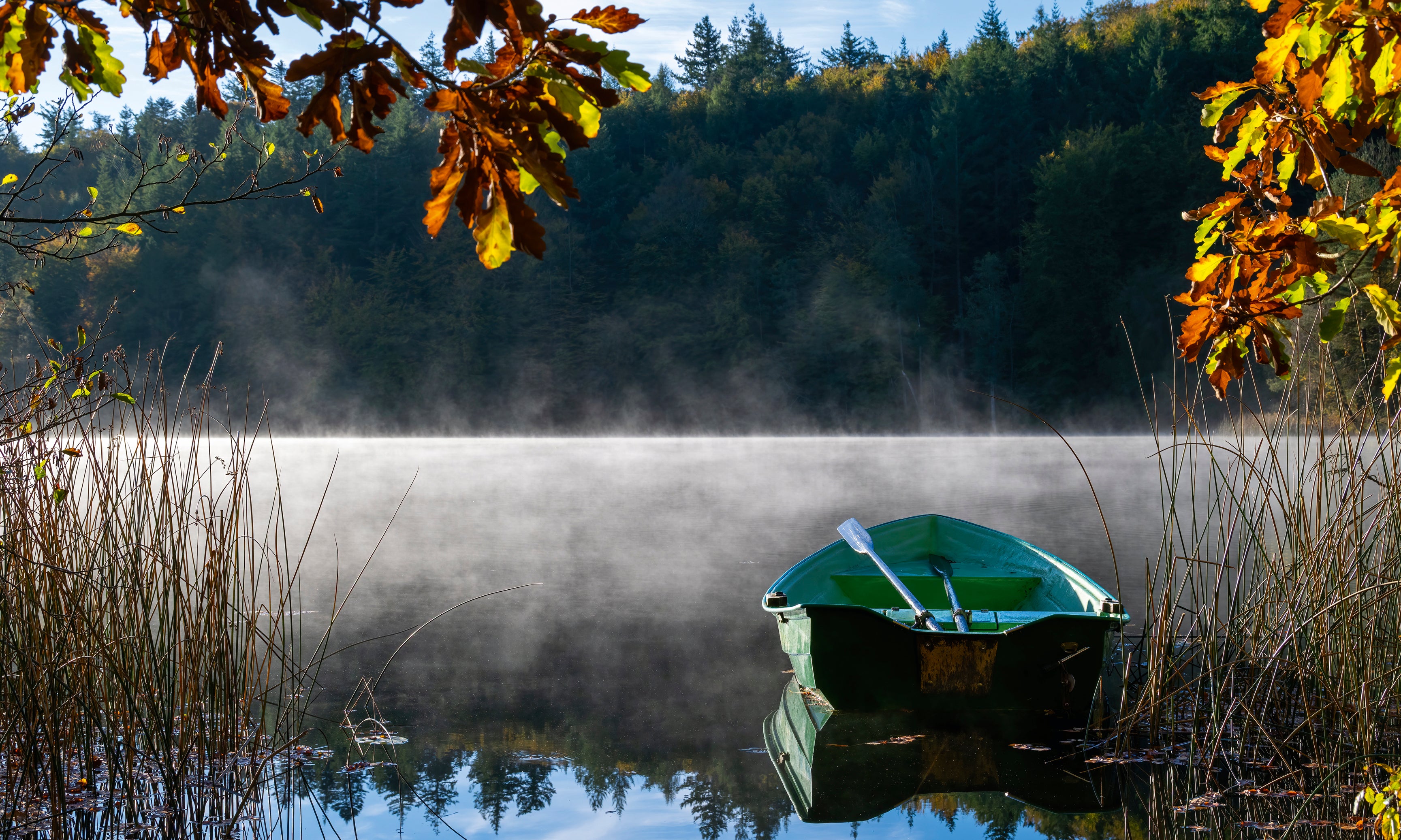 Autumndrift-120x80cm.jpg