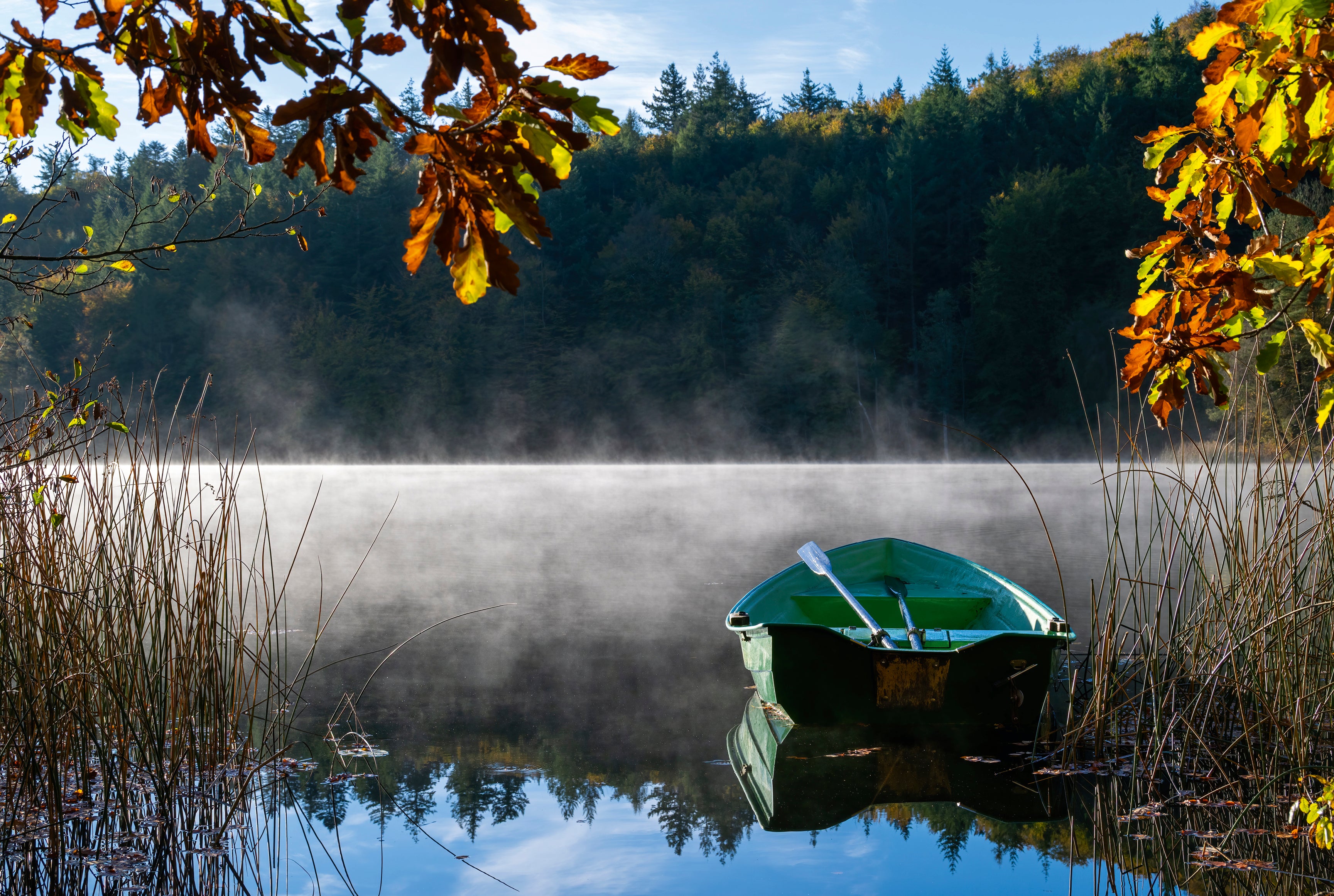Autumndrift-120x80cm.jpg