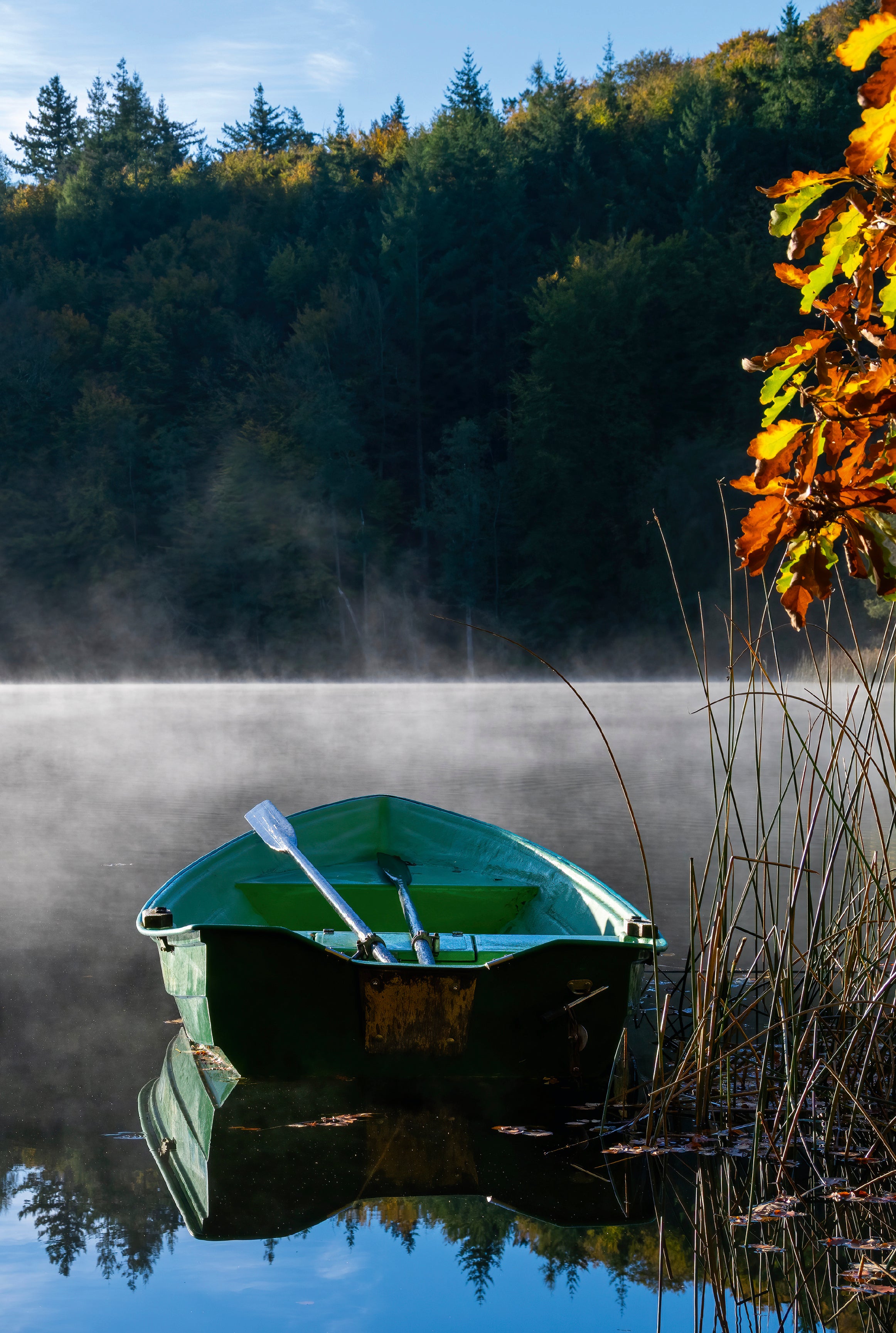 Autumndrift
