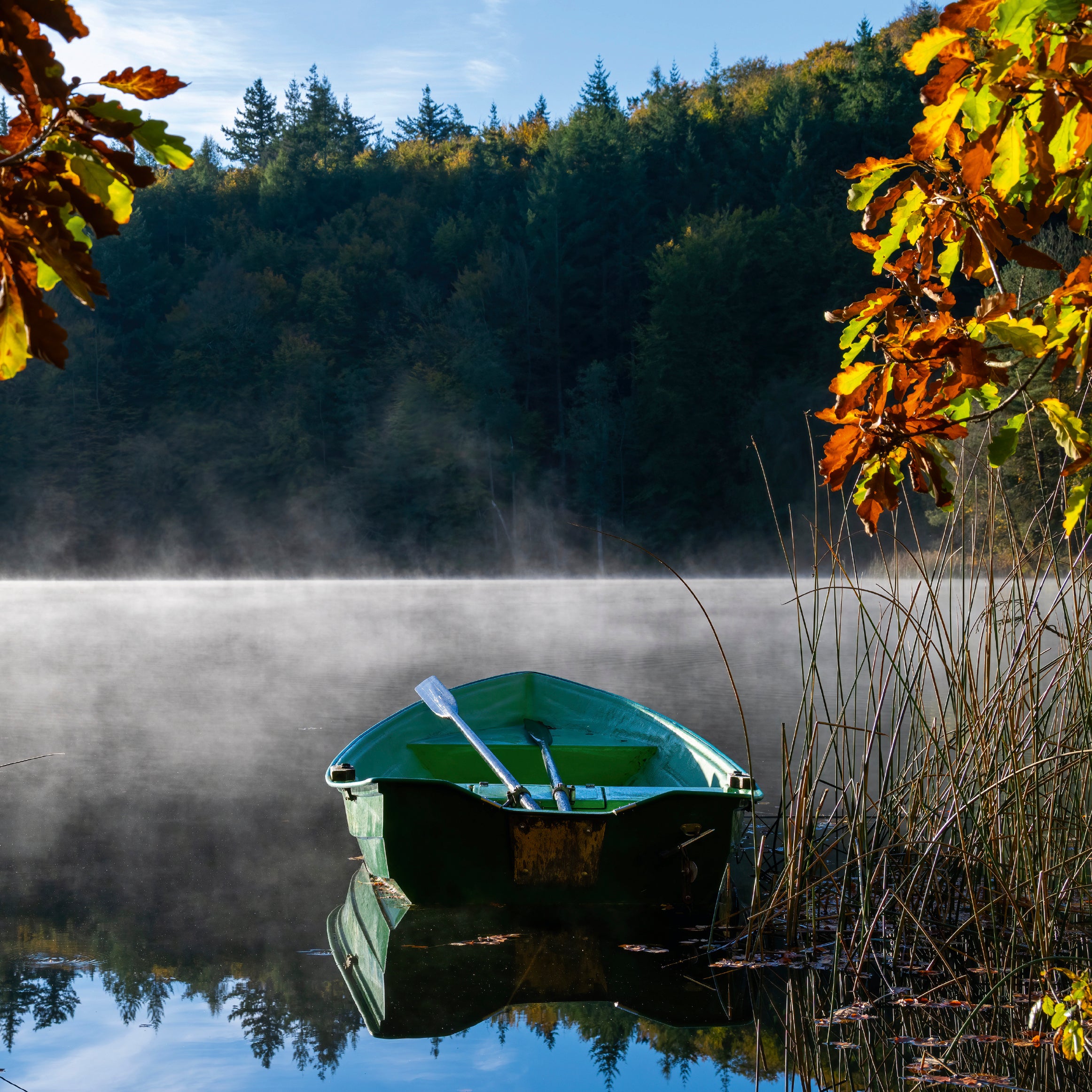 Autumndrift
