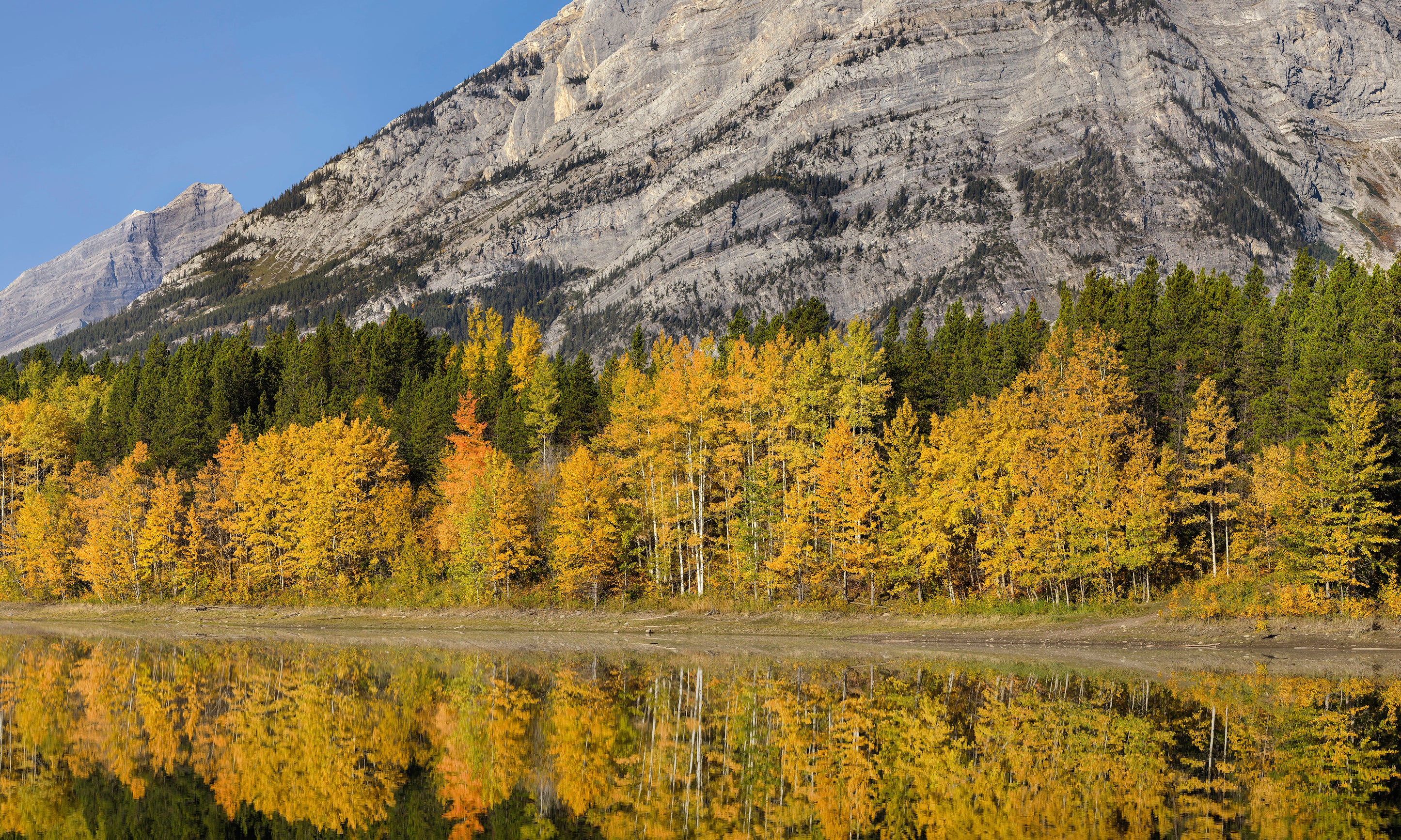 AutumnmorningatWedgePond-100x150cm.jpg