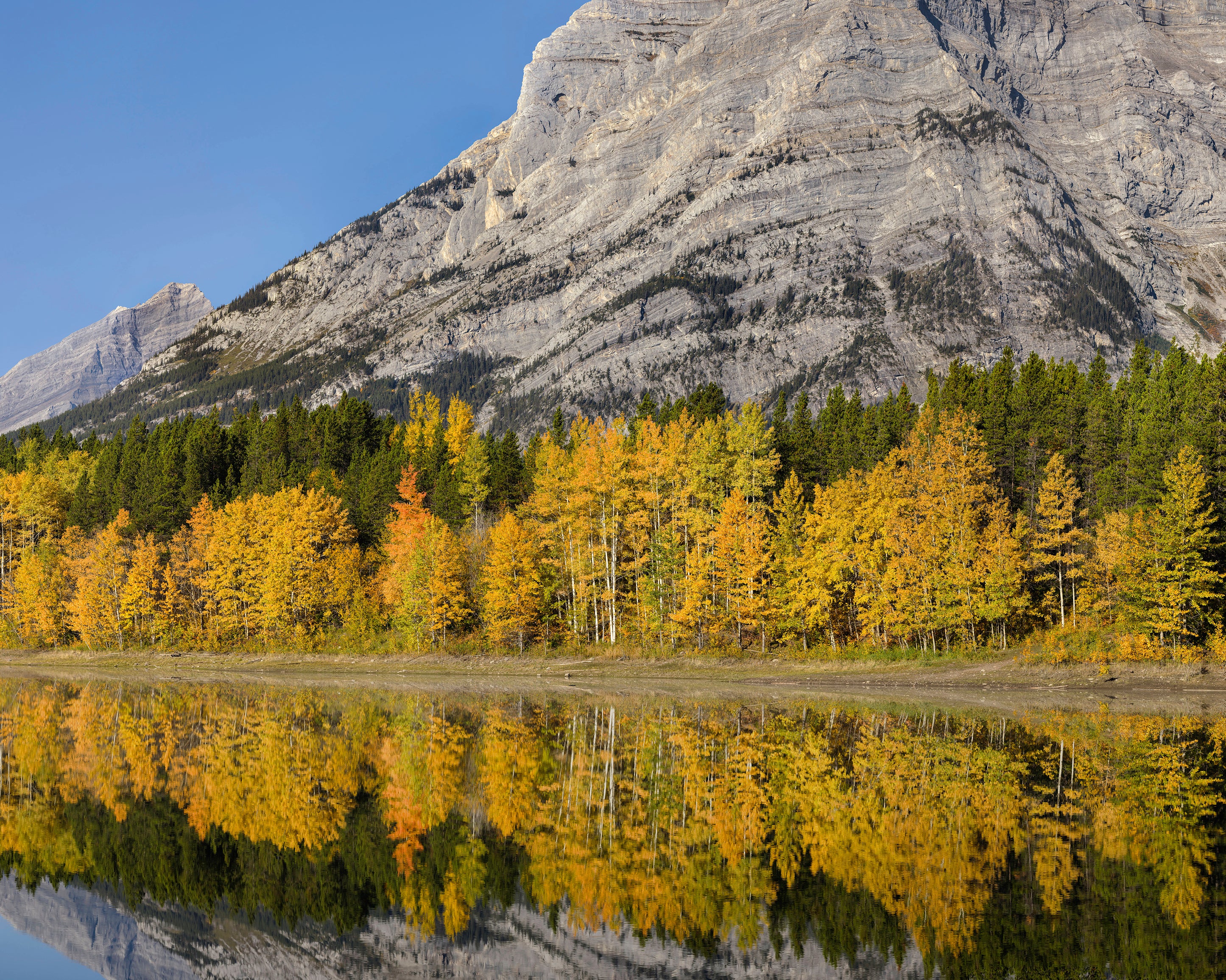 AutumnmorningatWedgePond-100x150cm.jpg