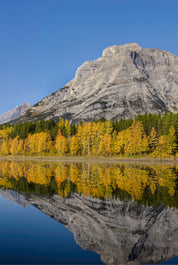 Autumn morning at Wedge Pond