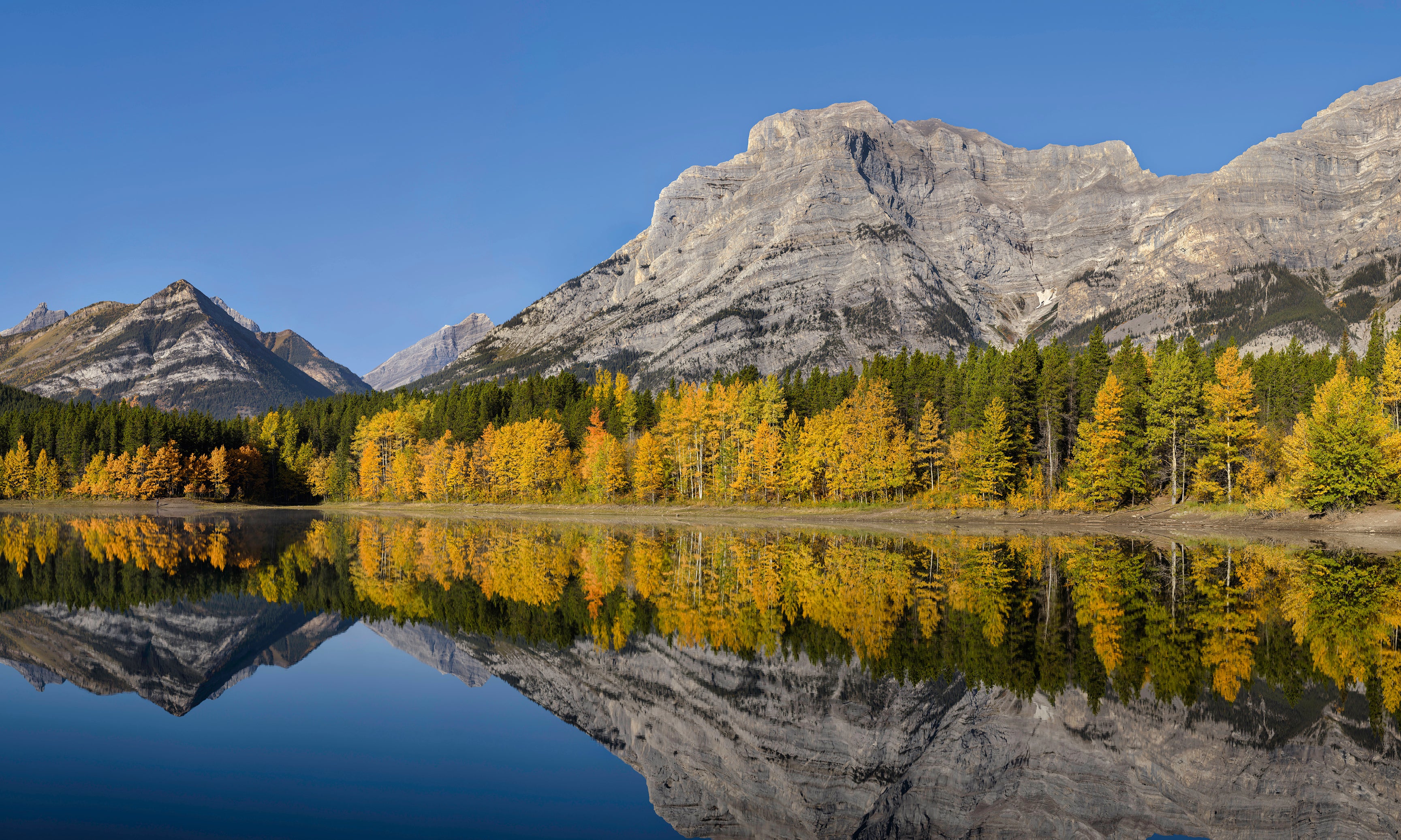 AutumnmorningatWedgePond-120x80cm.jpg