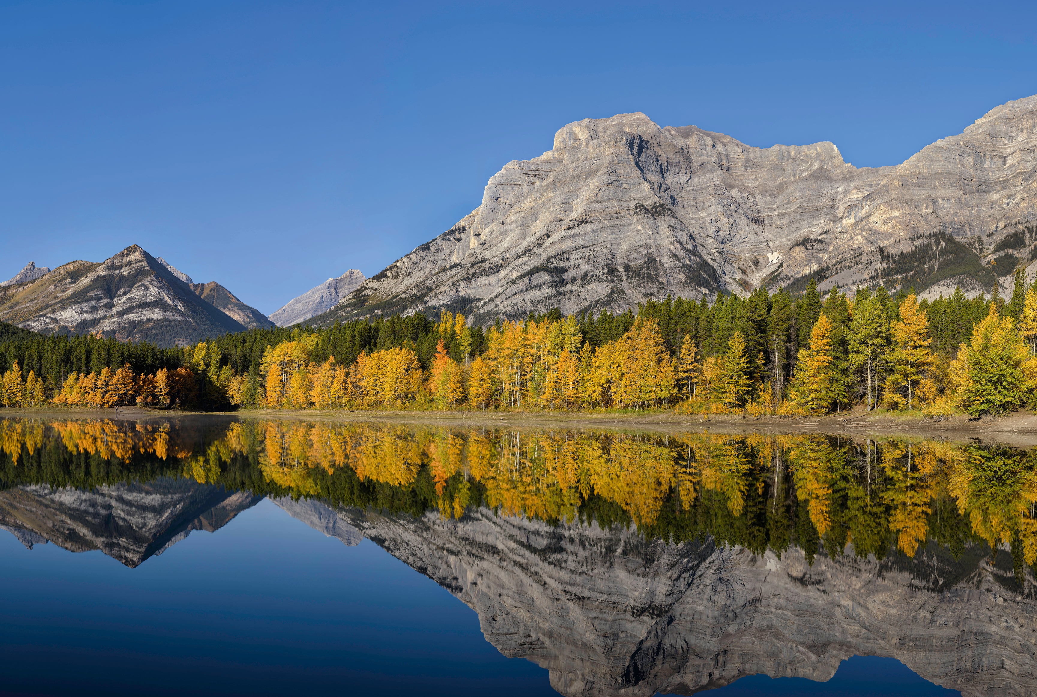 Autumn morning at Wedge Pond
