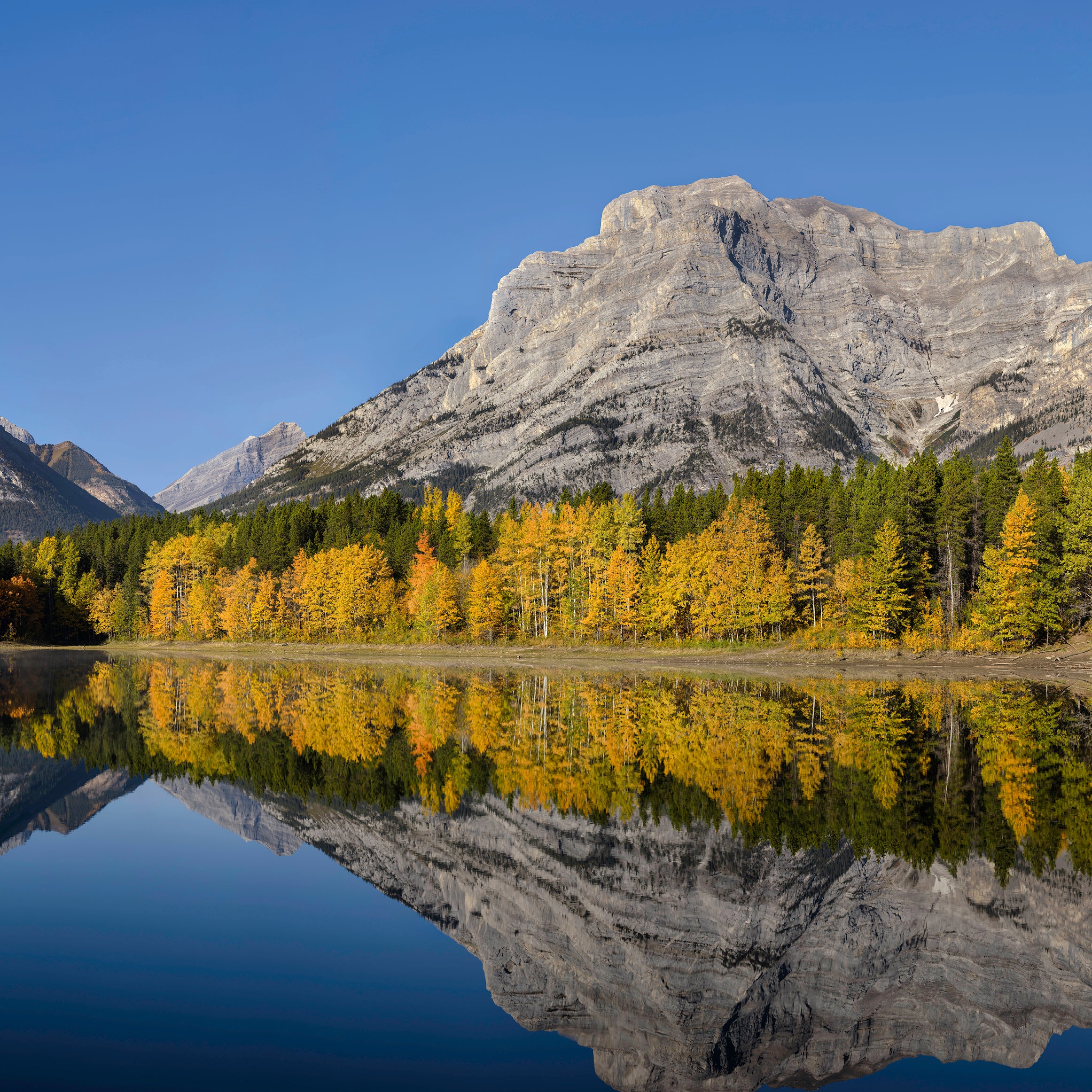 Autumn morning at Wedge Pond