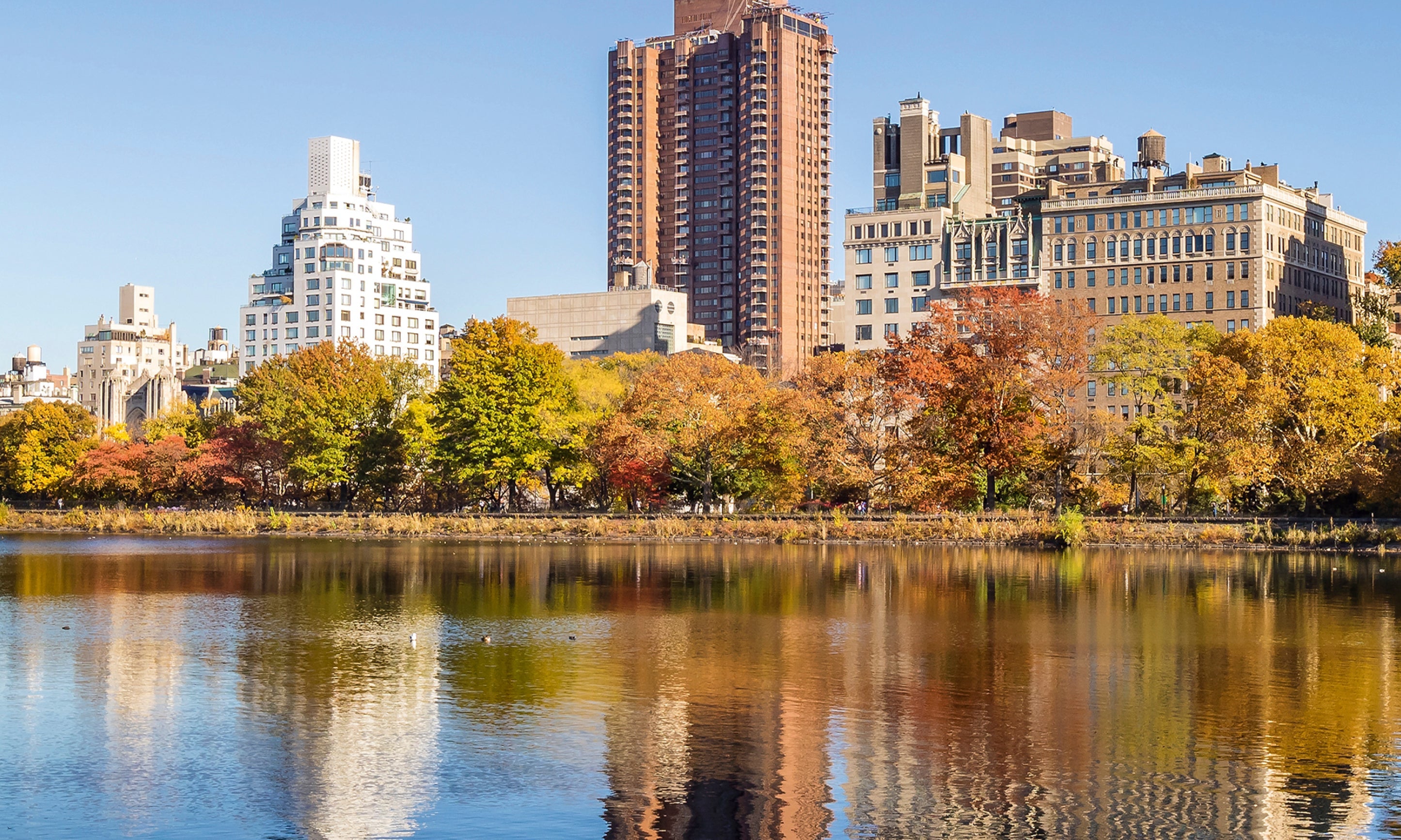 Autumnskyline-100x150cm.jpg