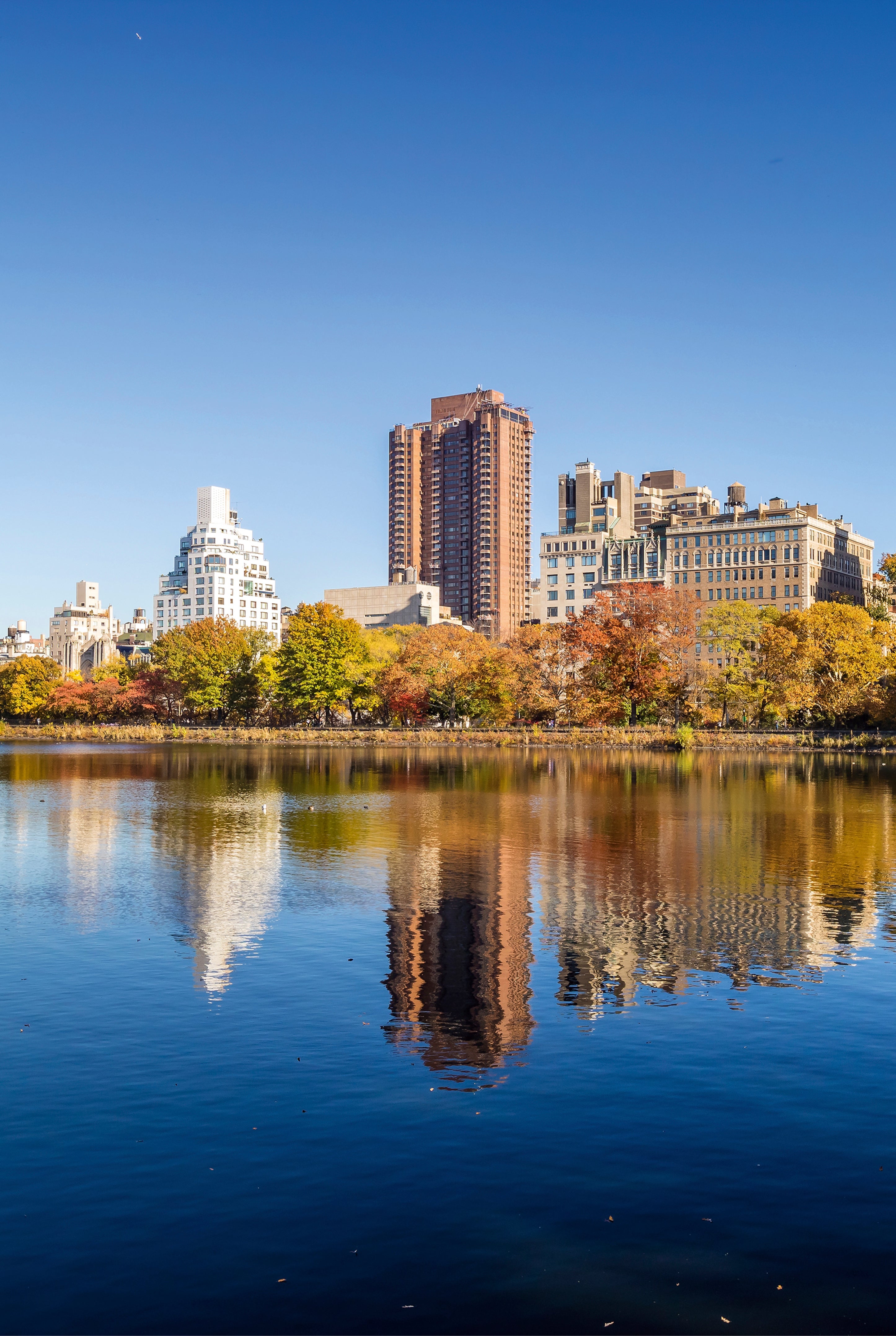 Autumn skyline
