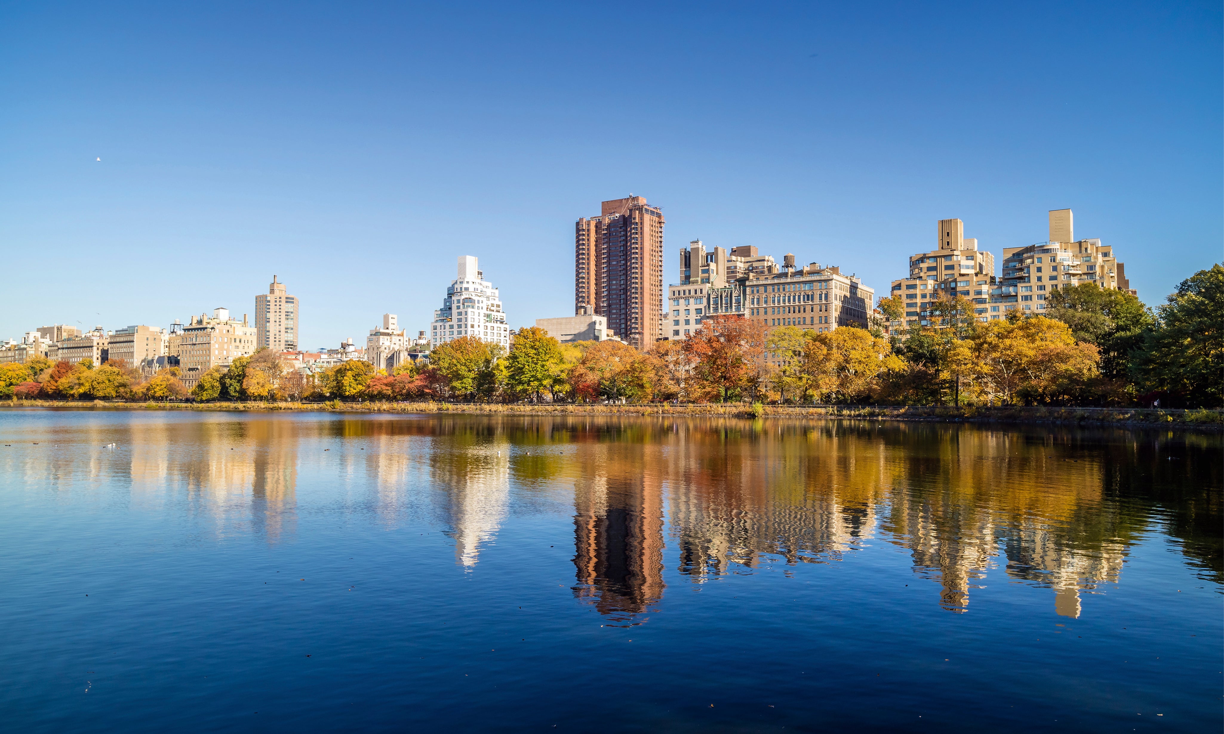 Autumnskyline-150x100cm.jpg