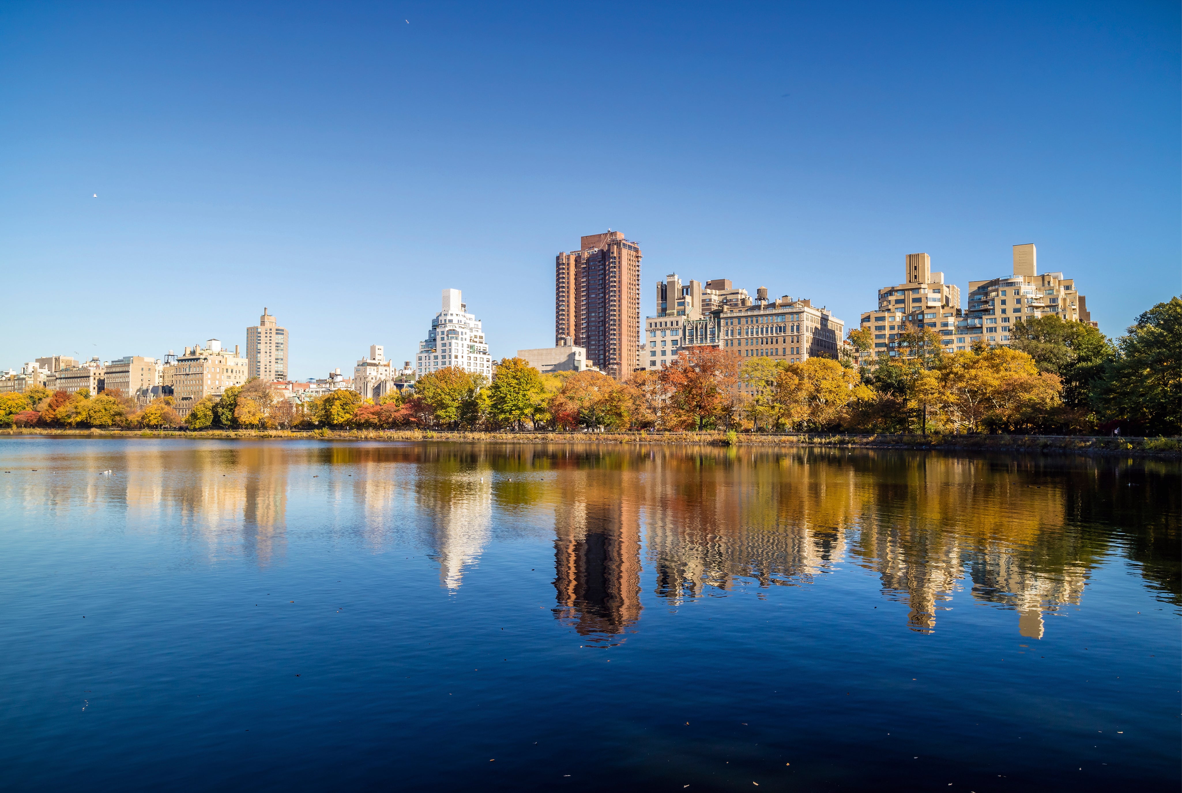 Autumnskyline-150x100cm.jpg