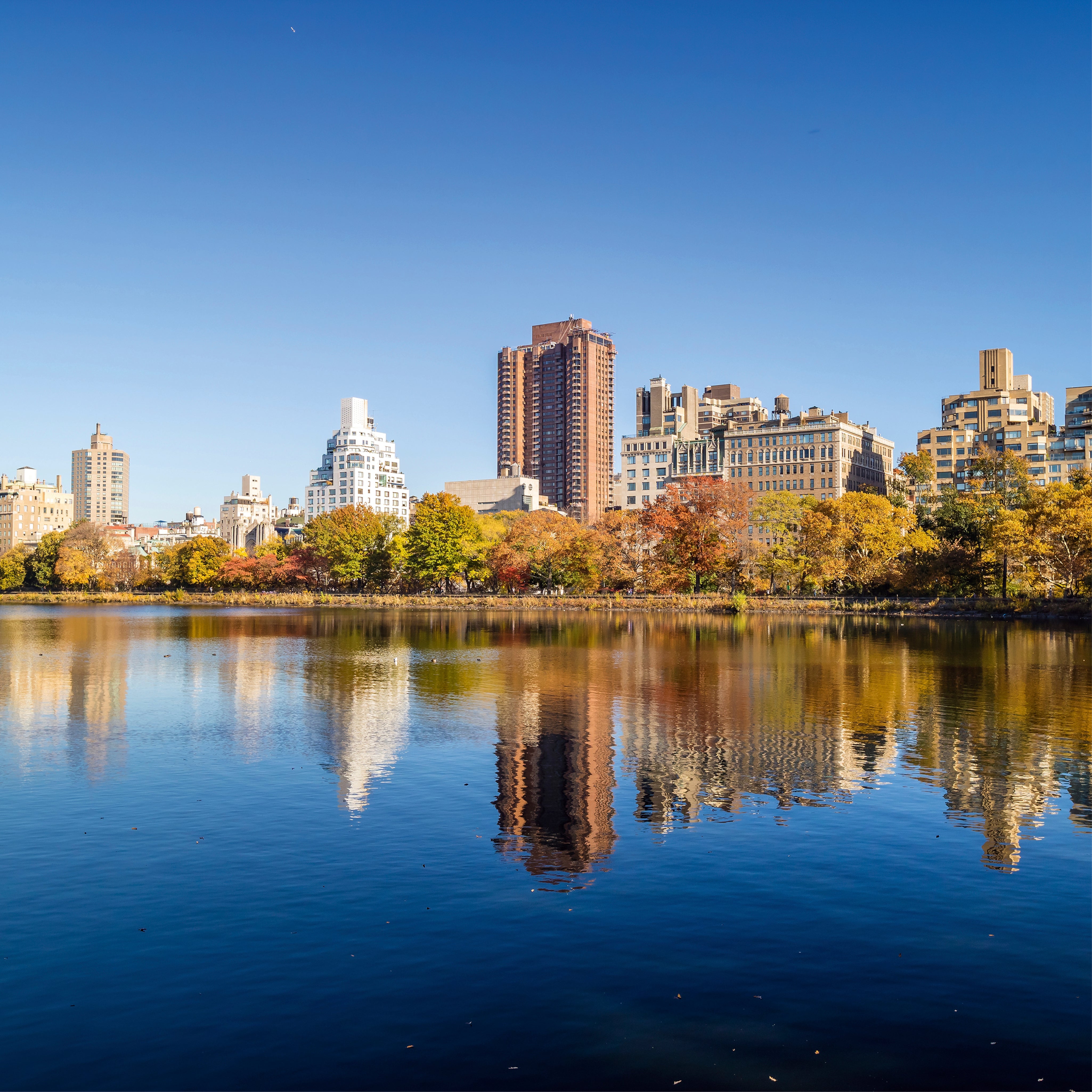 Autumn skyline
