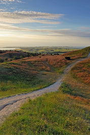 Awakening pathways