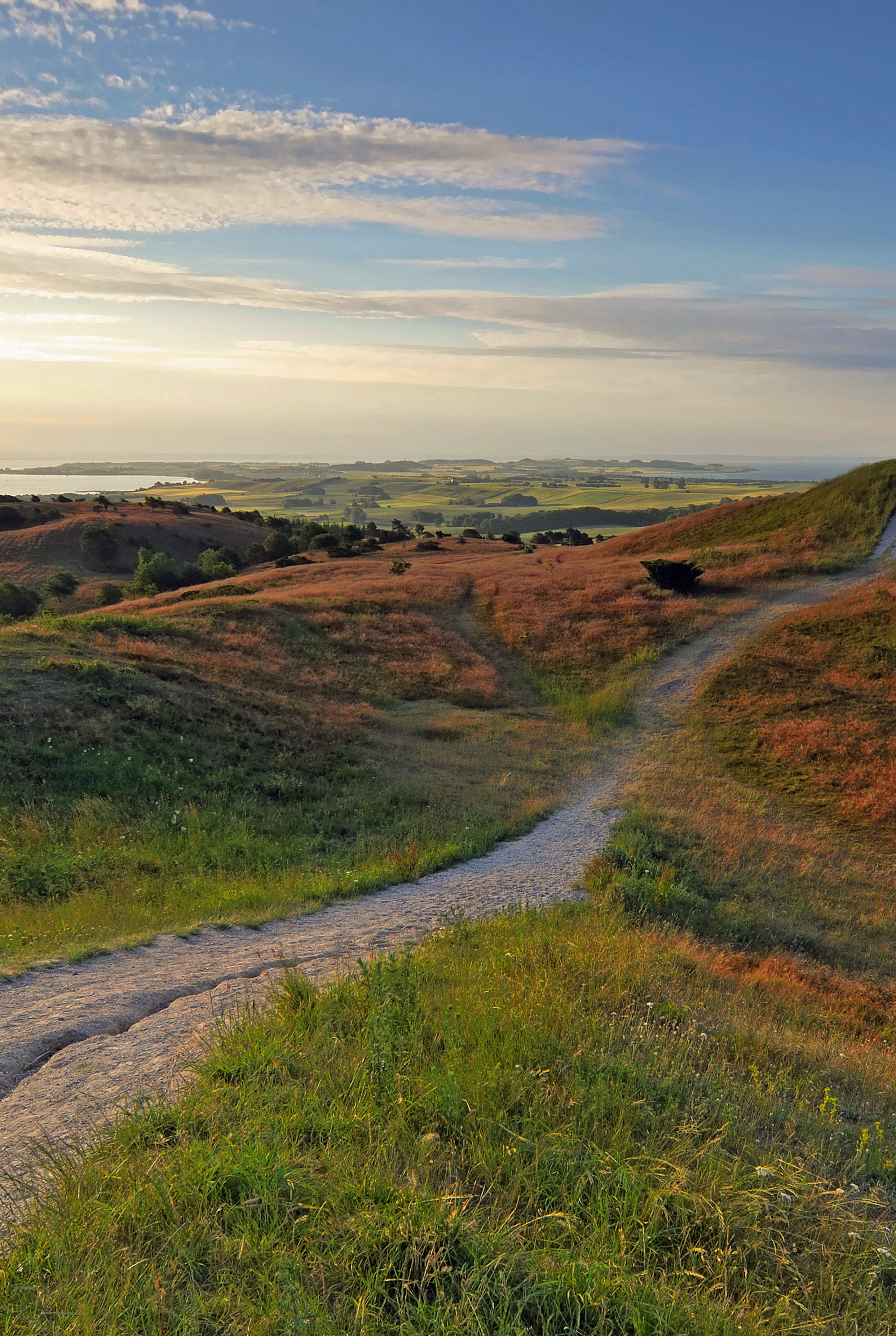 Awakening pathways
