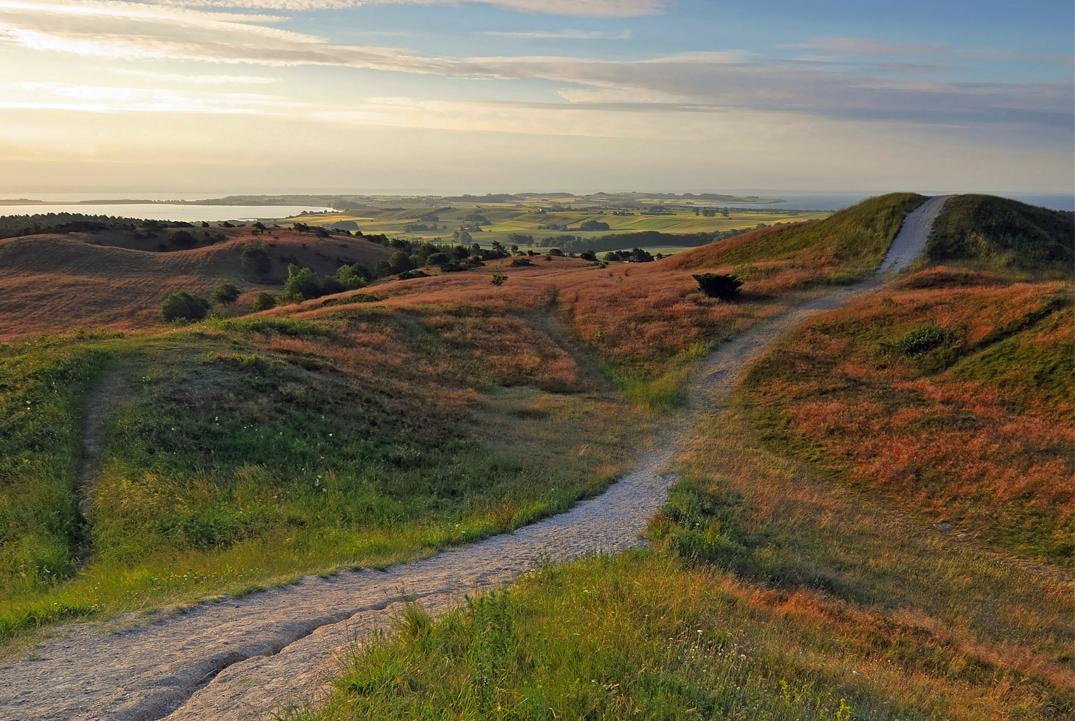 Awakening pathways
