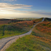 Awakening pathways