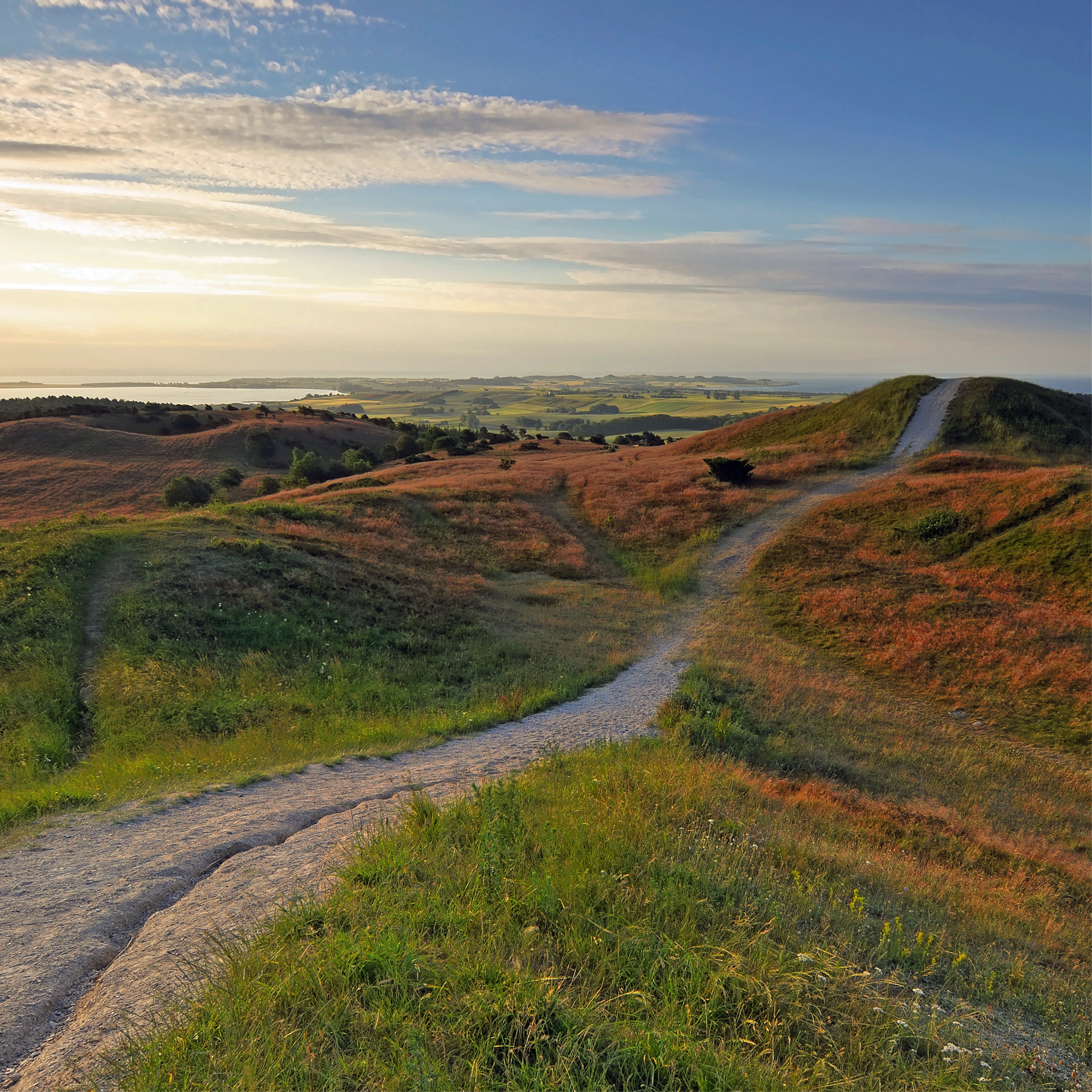 Awakening pathways