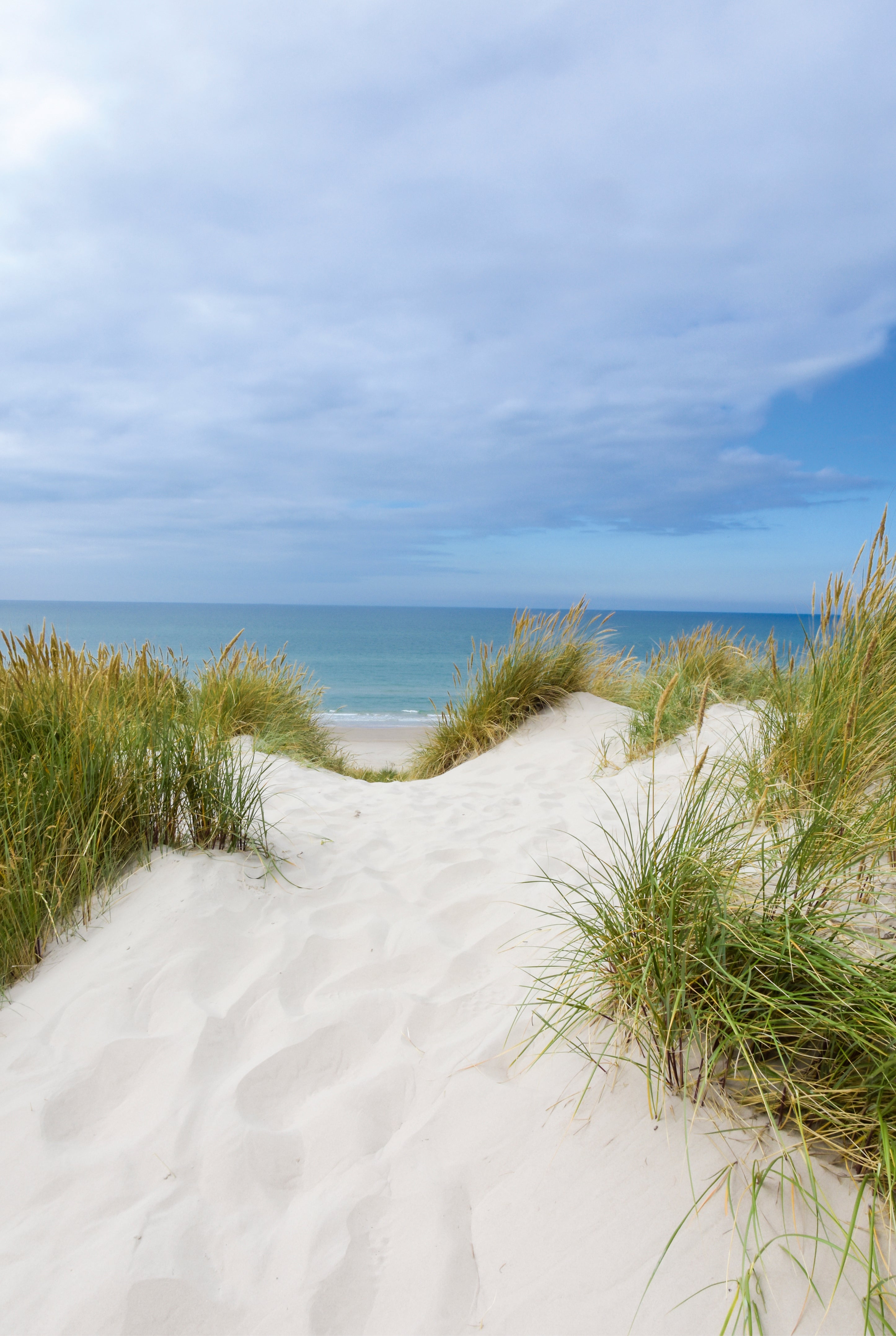 A whisper of sea breeze