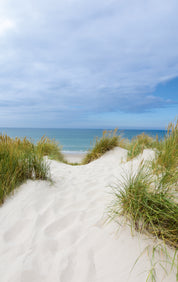 A whisper of sea breeze