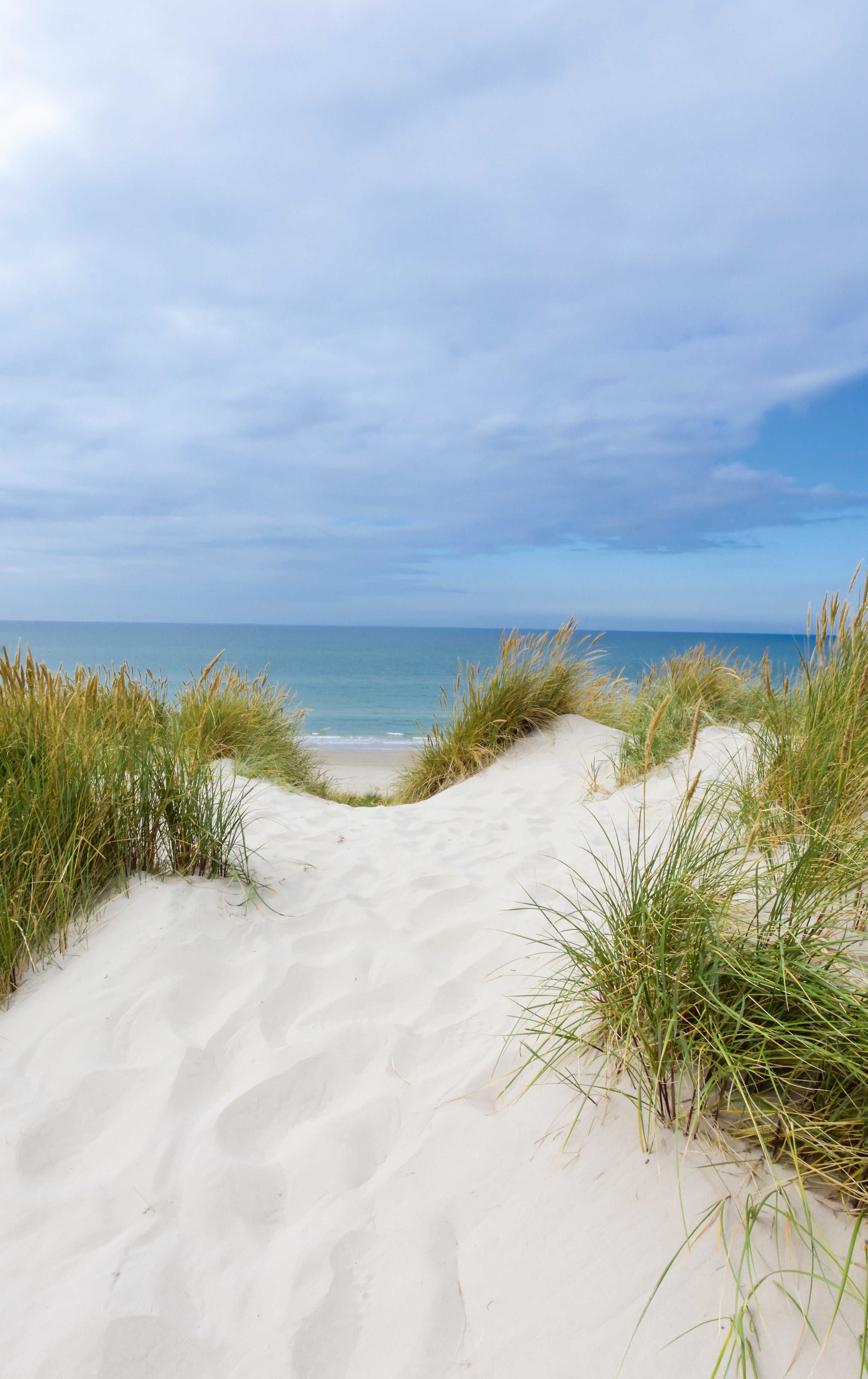 A whisper of sea breeze