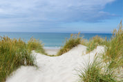 A whisper of sea breeze