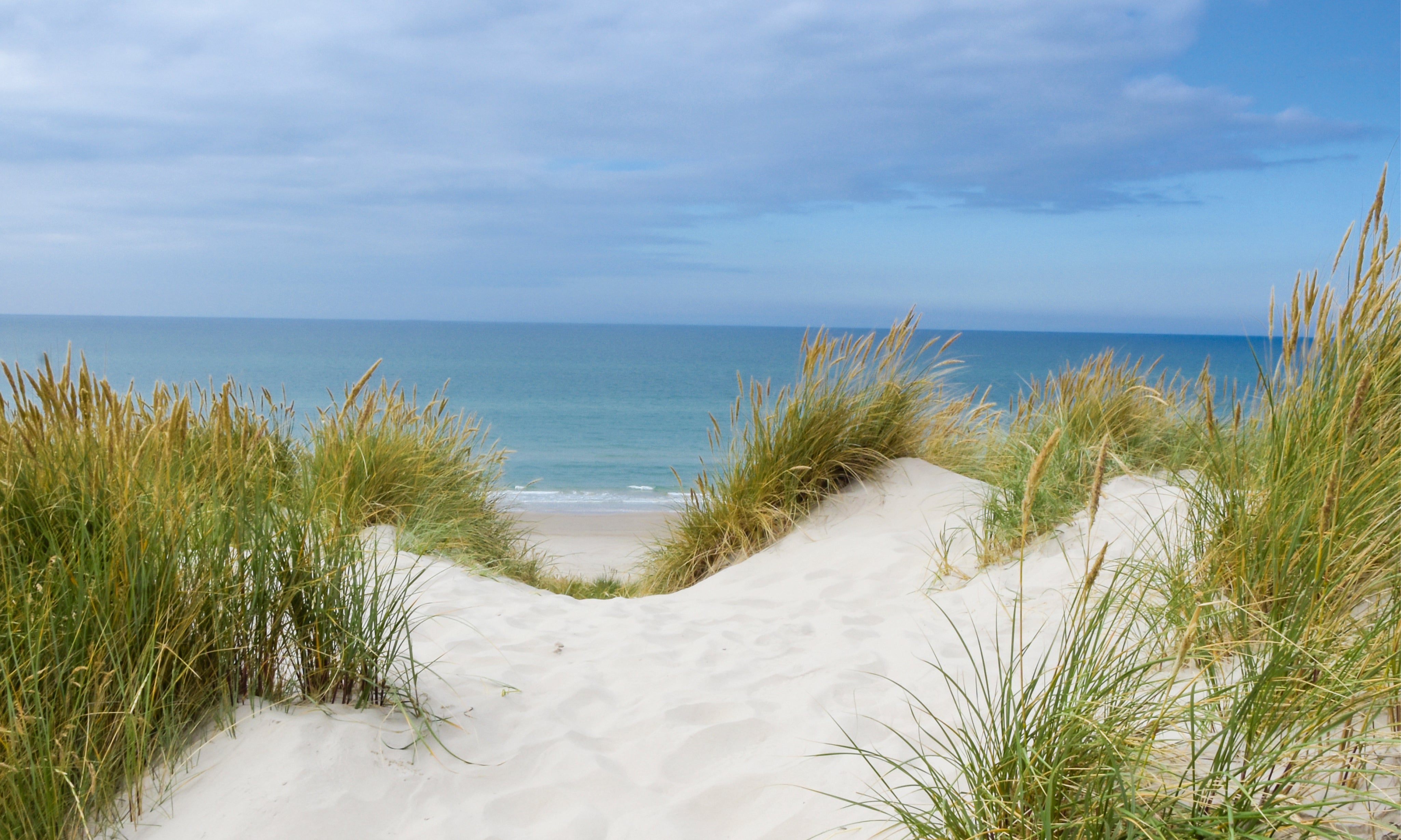 Awhisperofseabreeze-150x100cm.jpg