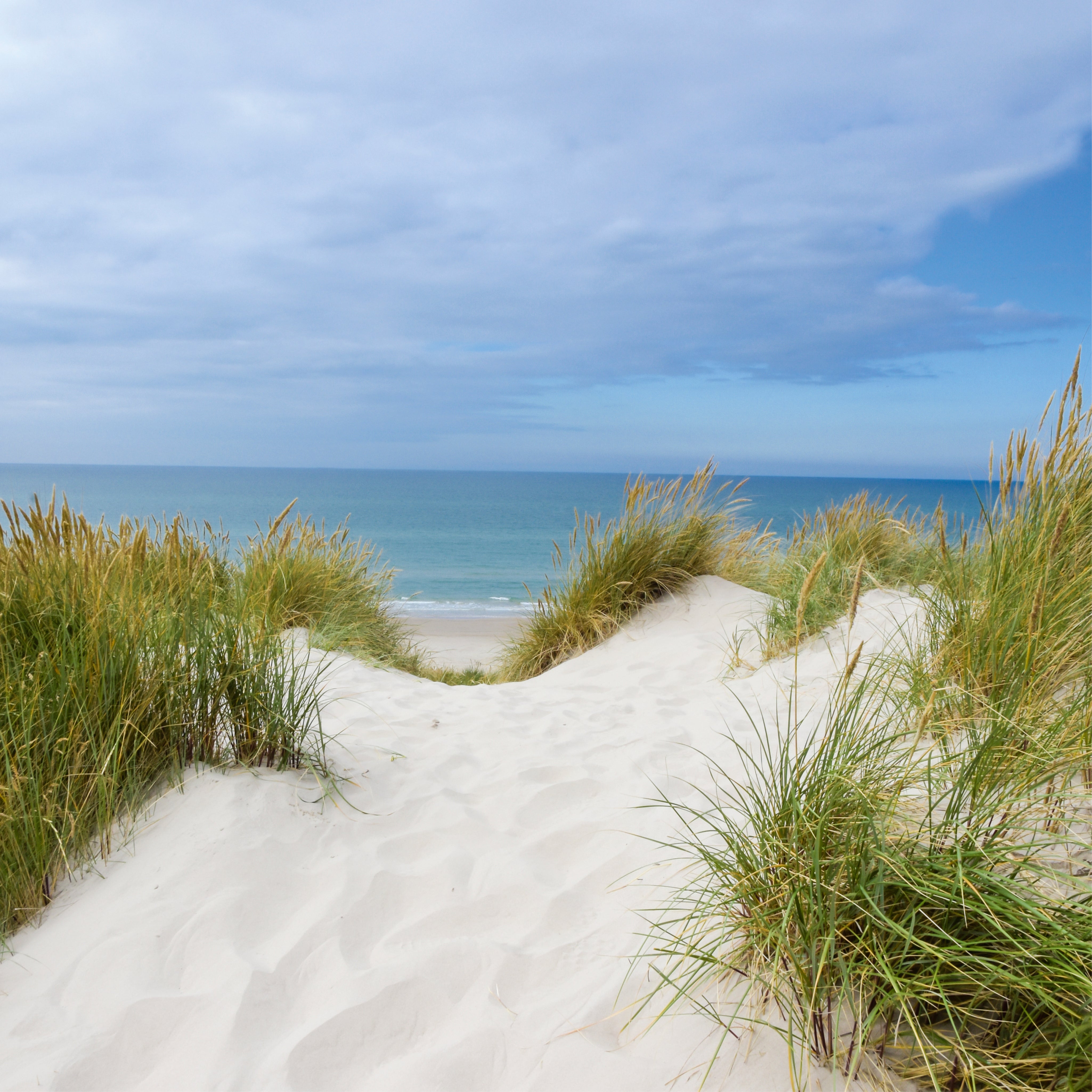 A whisper of sea breeze