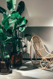 Bamboo and breath