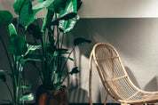 Bamboo and breath