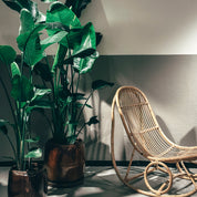 Bamboo and breath