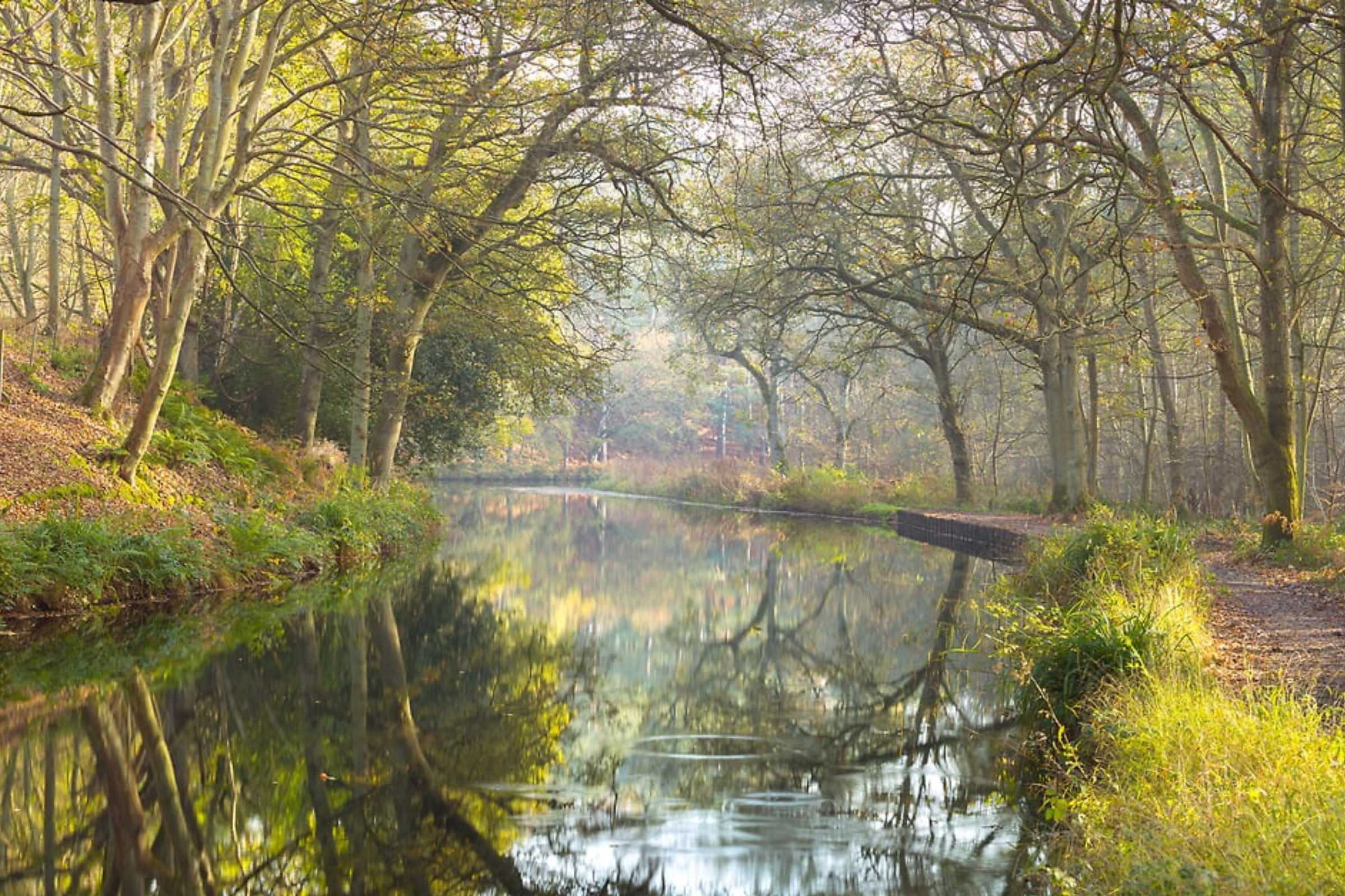 Basingstoke Canal