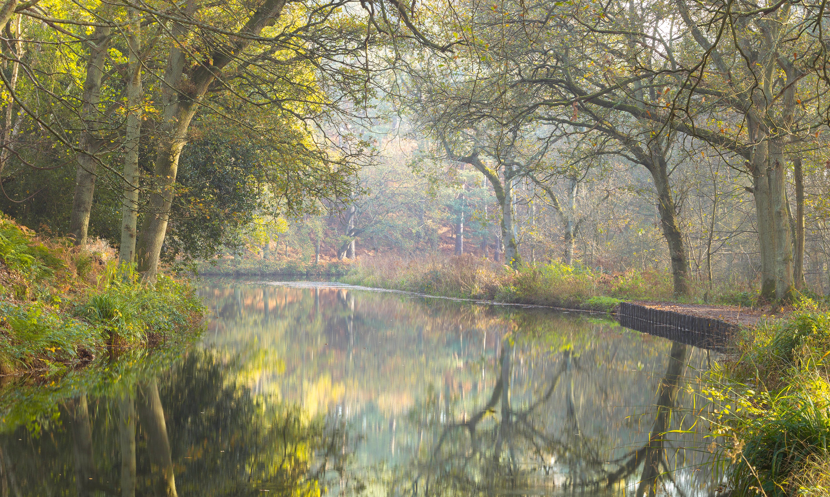 Basingstokecanal-100x100cm.jpg