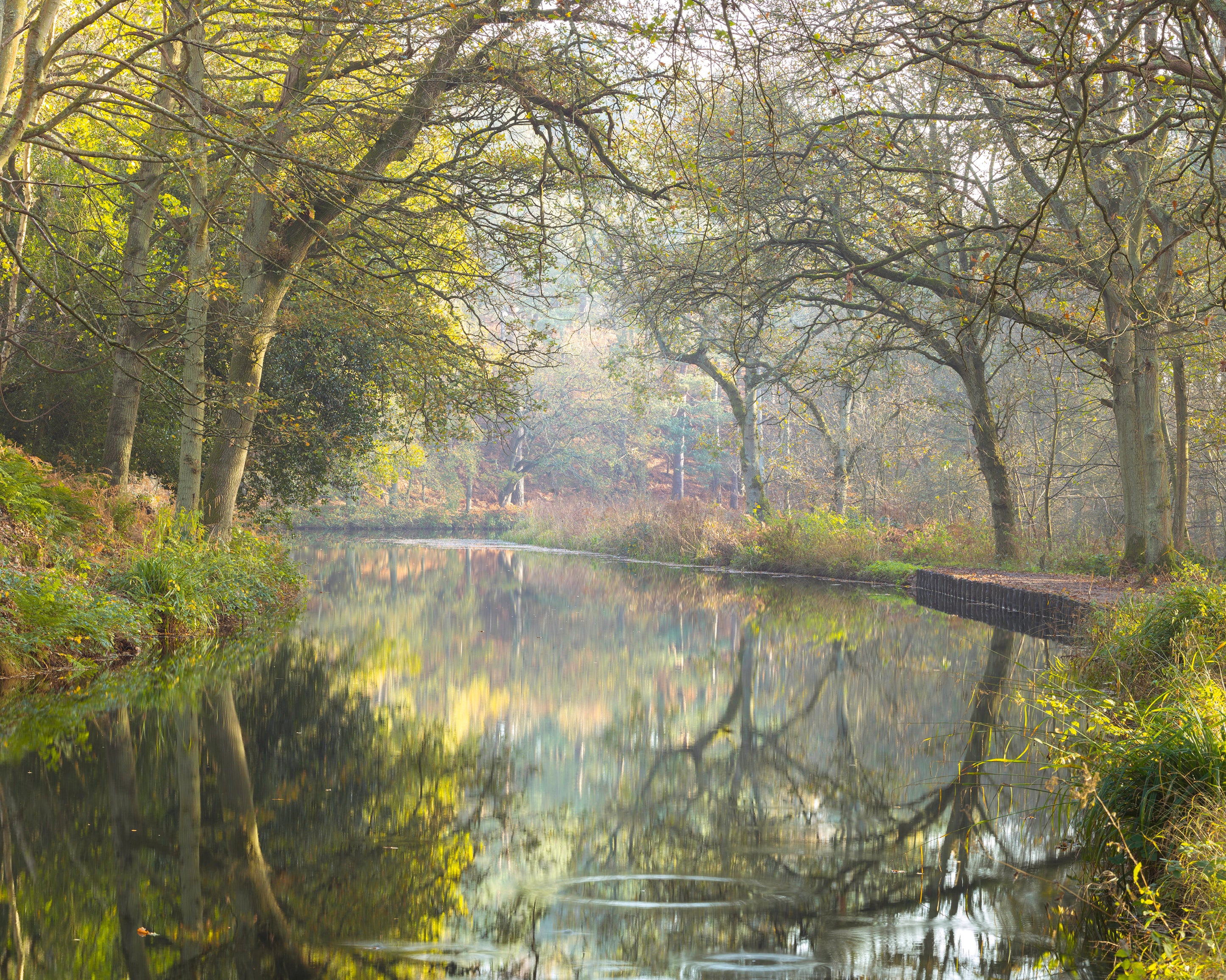 Basingstokecanal-100x100cm.jpg