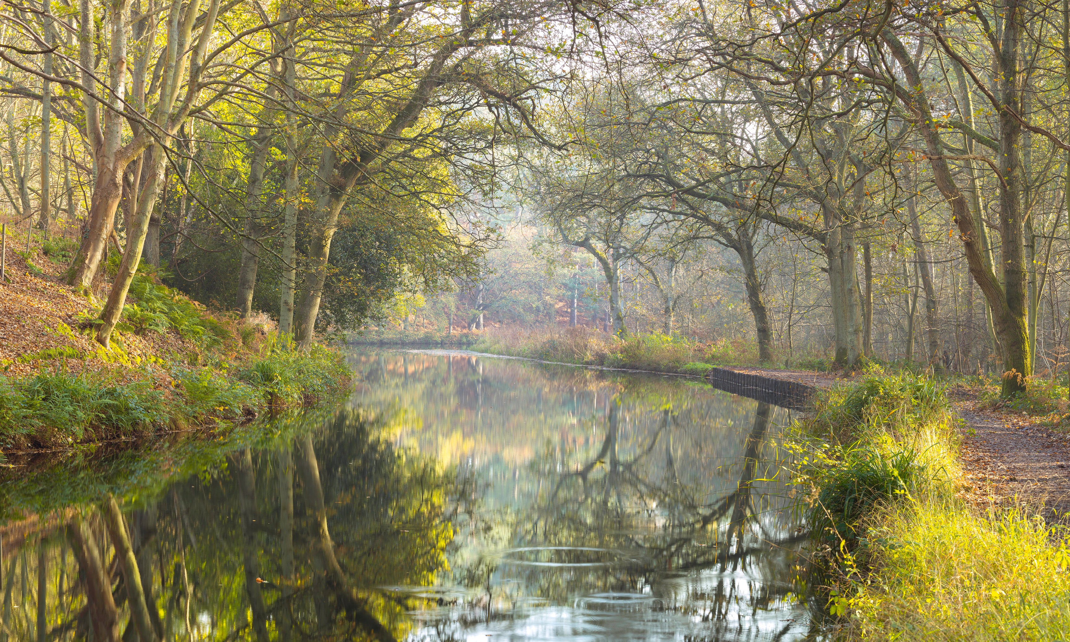 Basingstokecanal-120x80cm.jpg