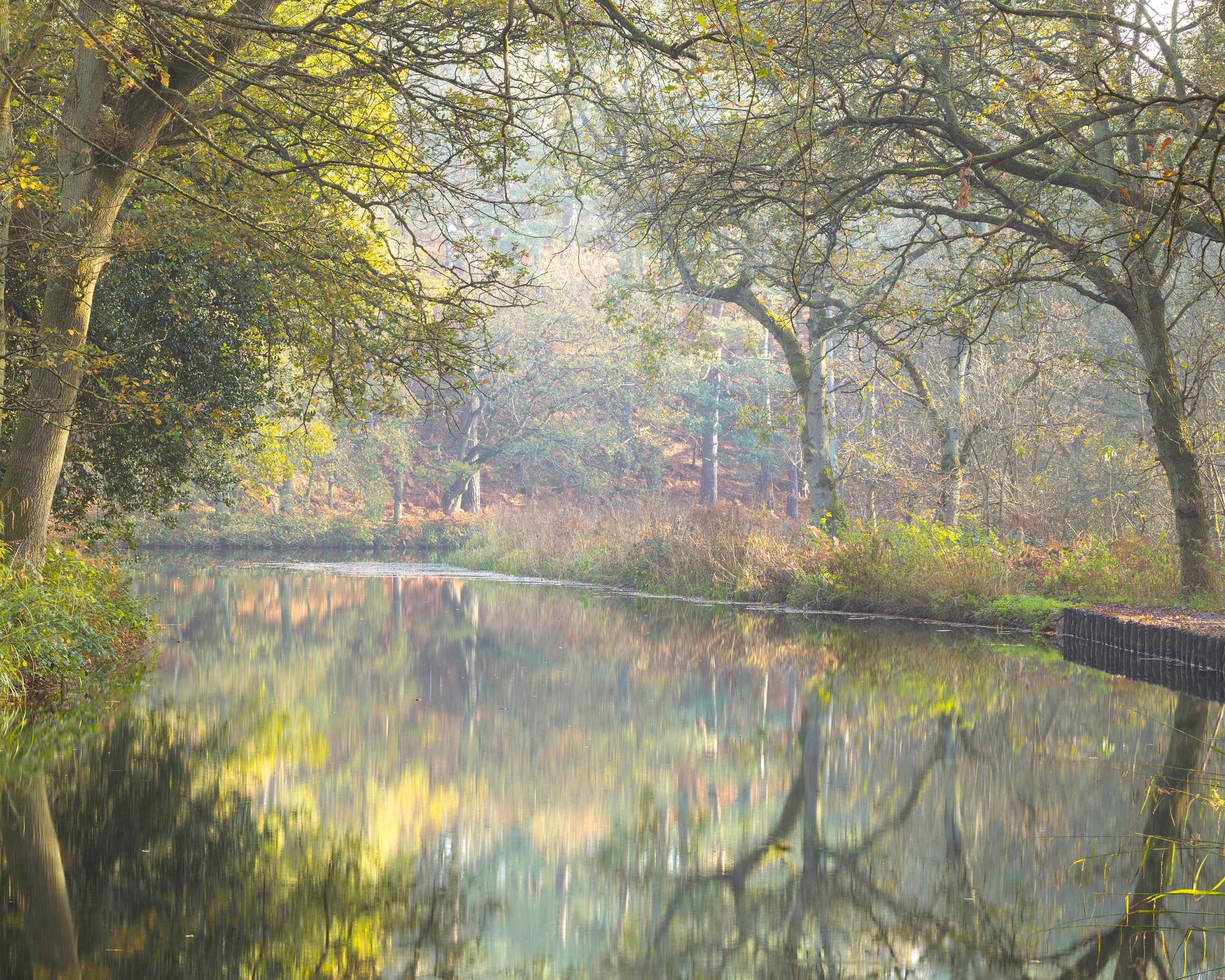 Basingstokecanal-80x120cm.jpg