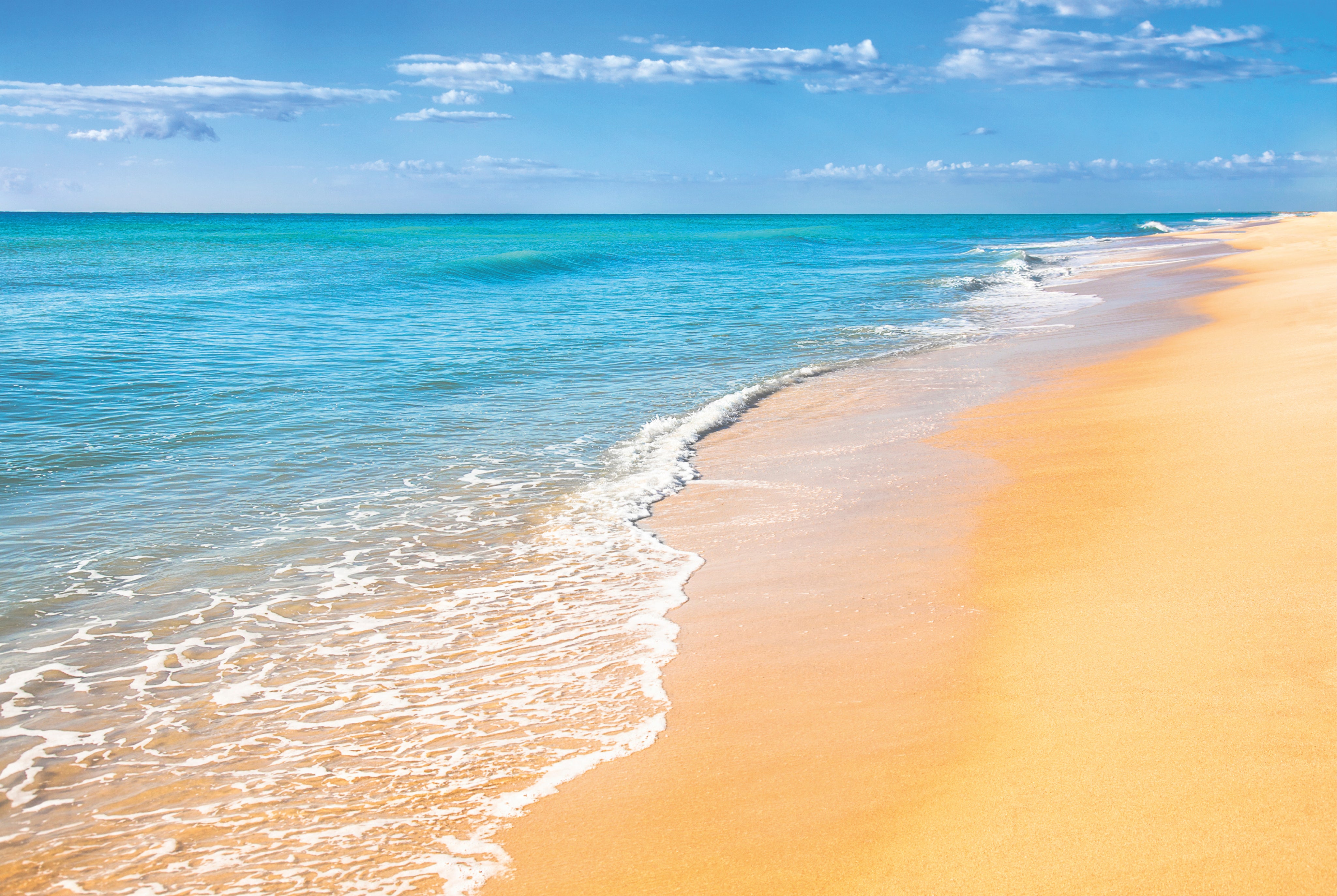 Beachfront bliss