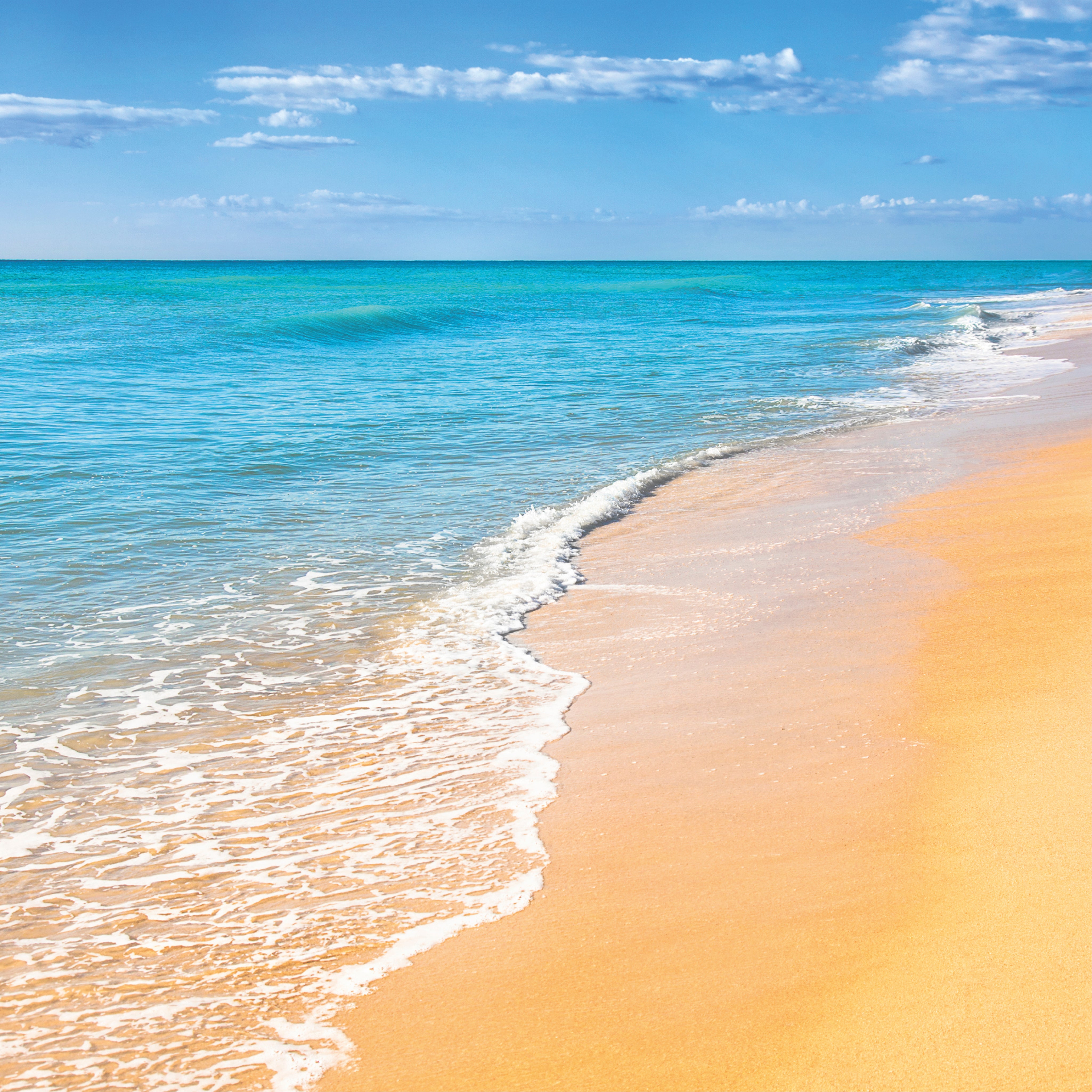 Beachfront bliss