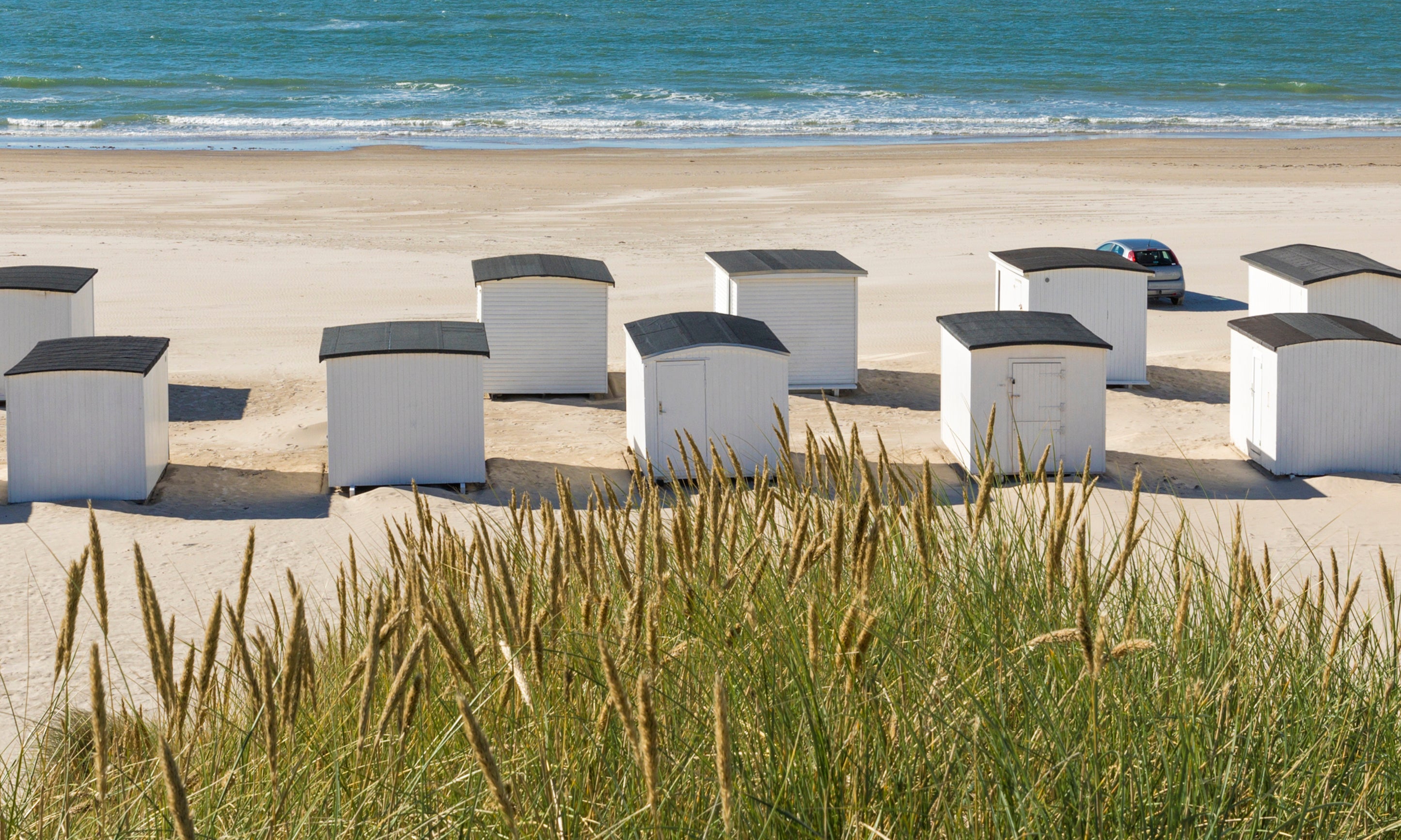 Beachhutbrigade-100x150cm.jpg