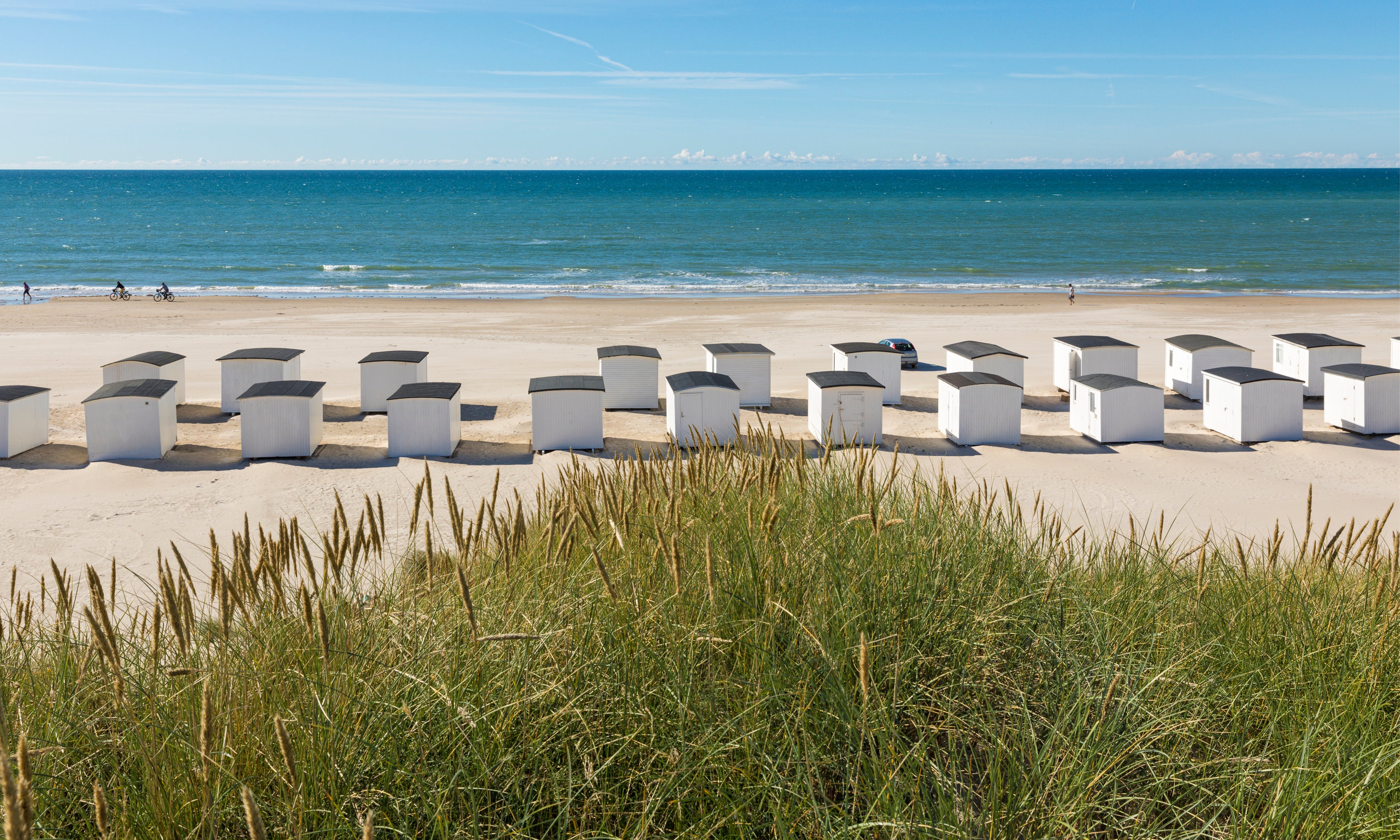 Beachhutbrigade-150x100cm.jpg