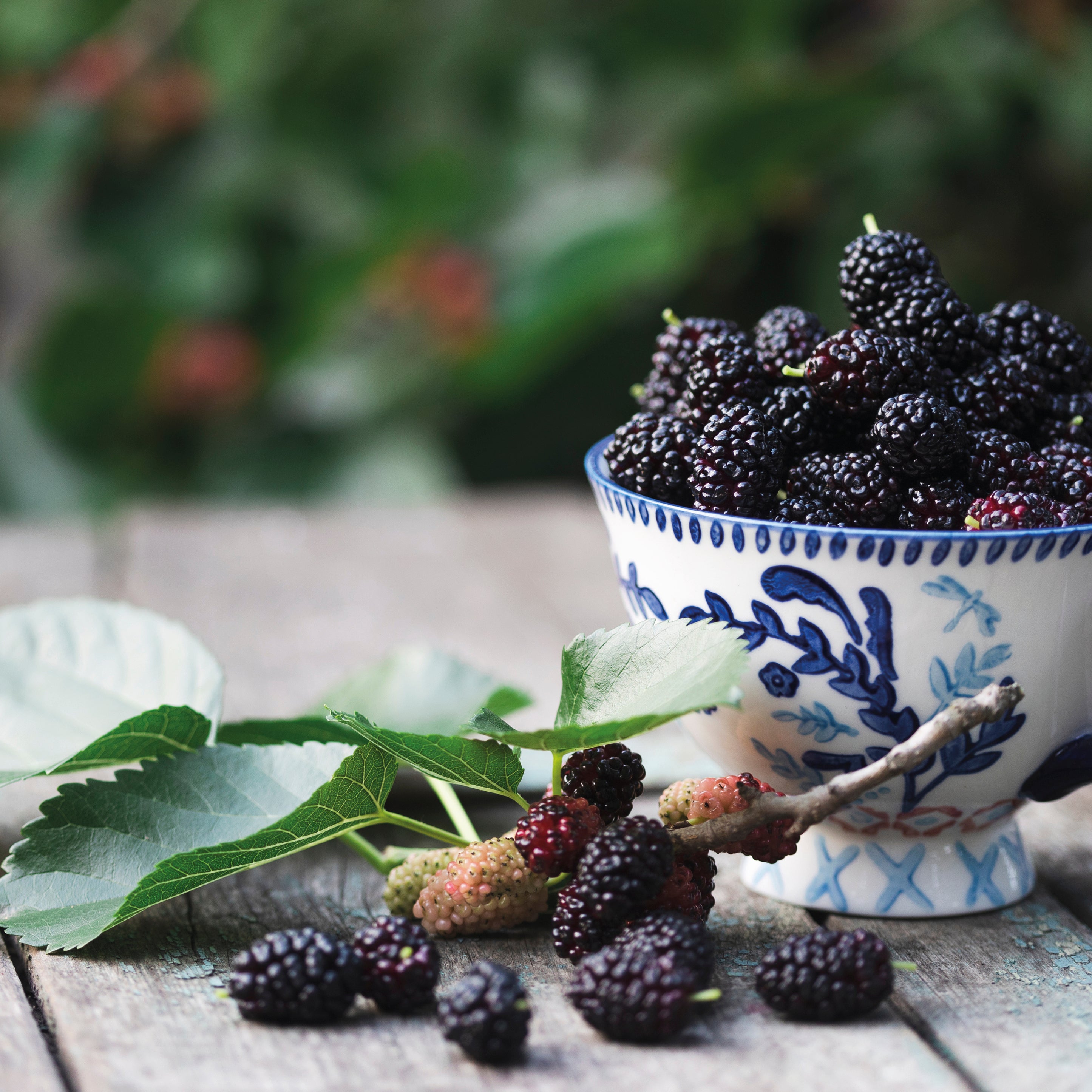 Berry bliss