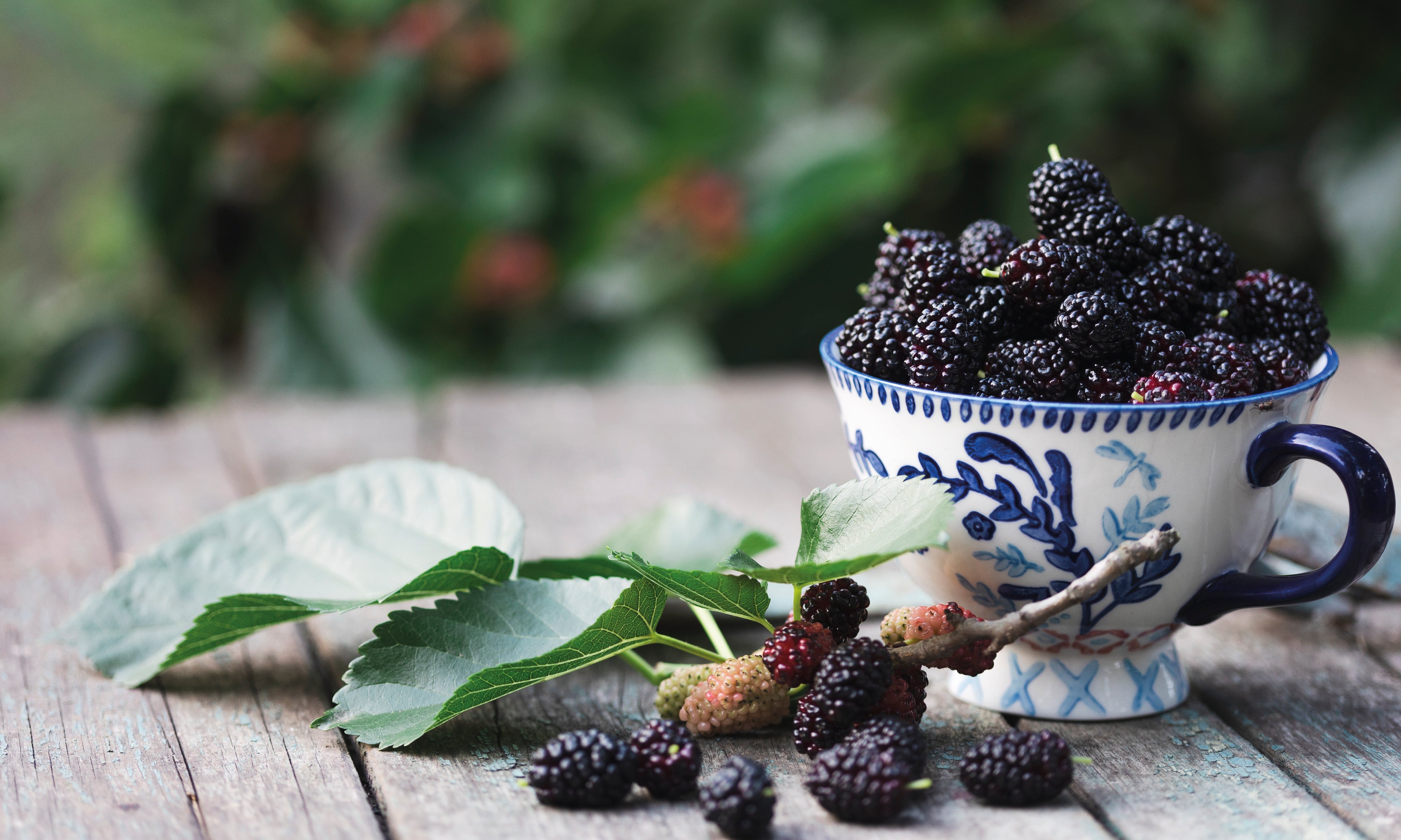 Berrybliss-120x80cm.jpg