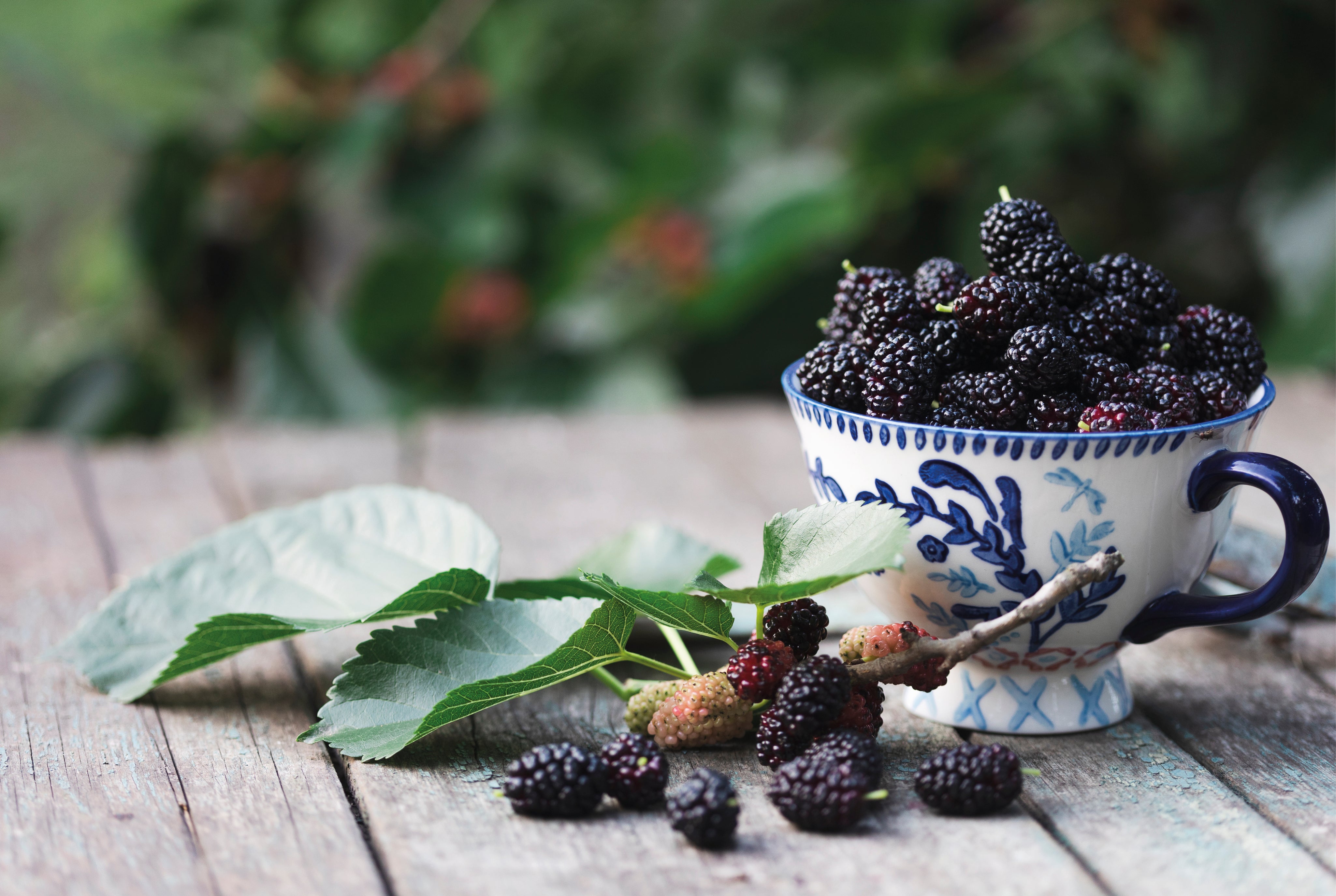 Berry bliss