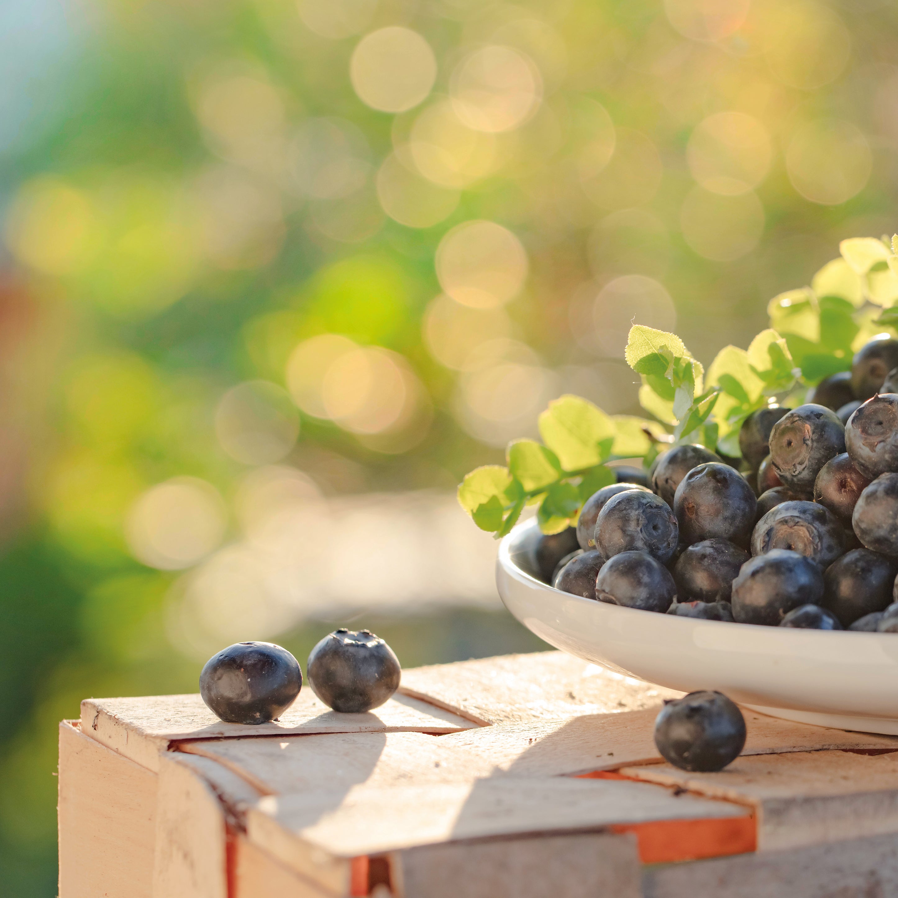 Berrylicious