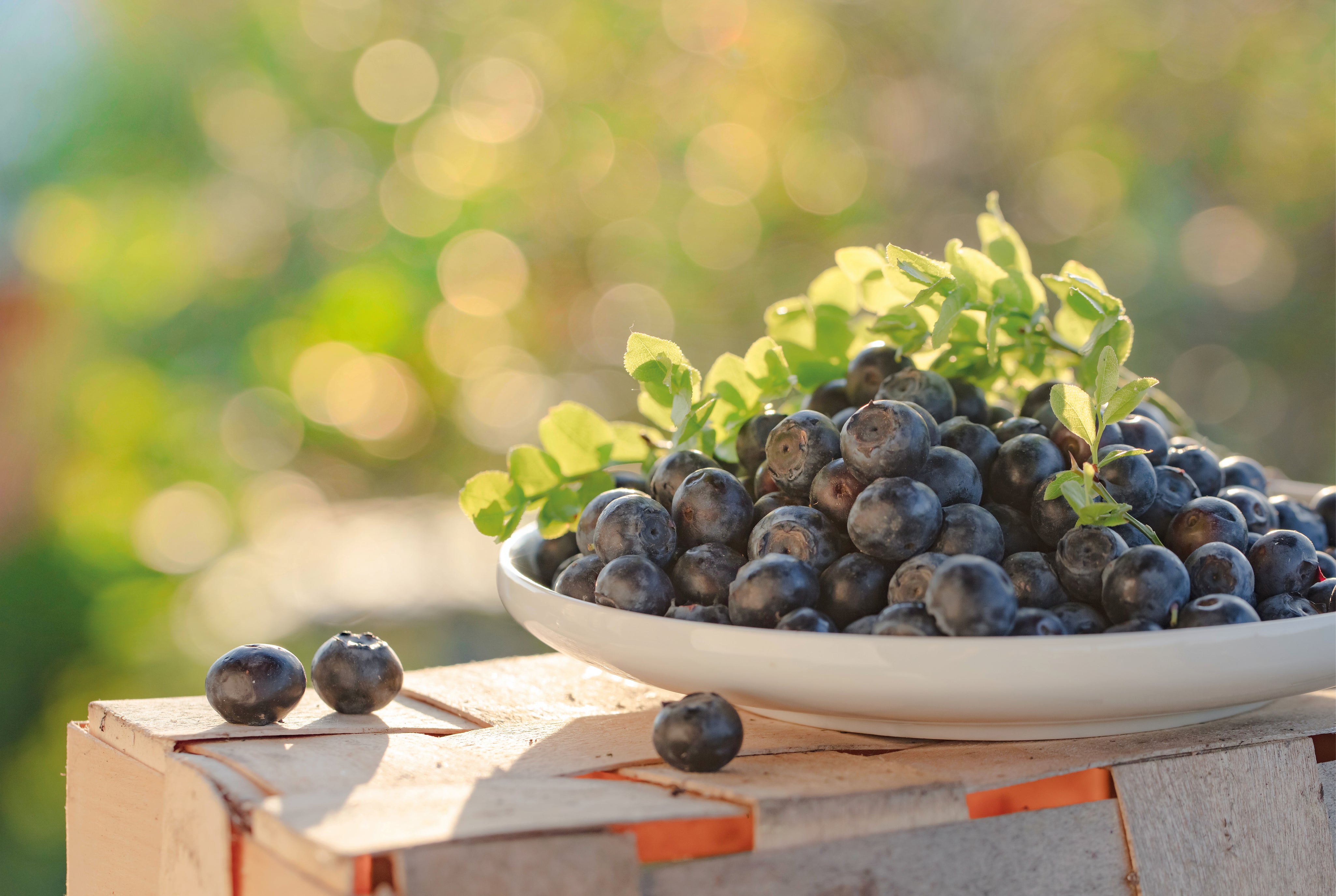 Berrylicious