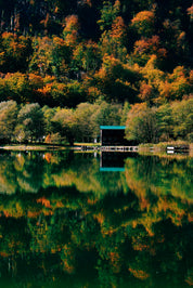 Between trees and water