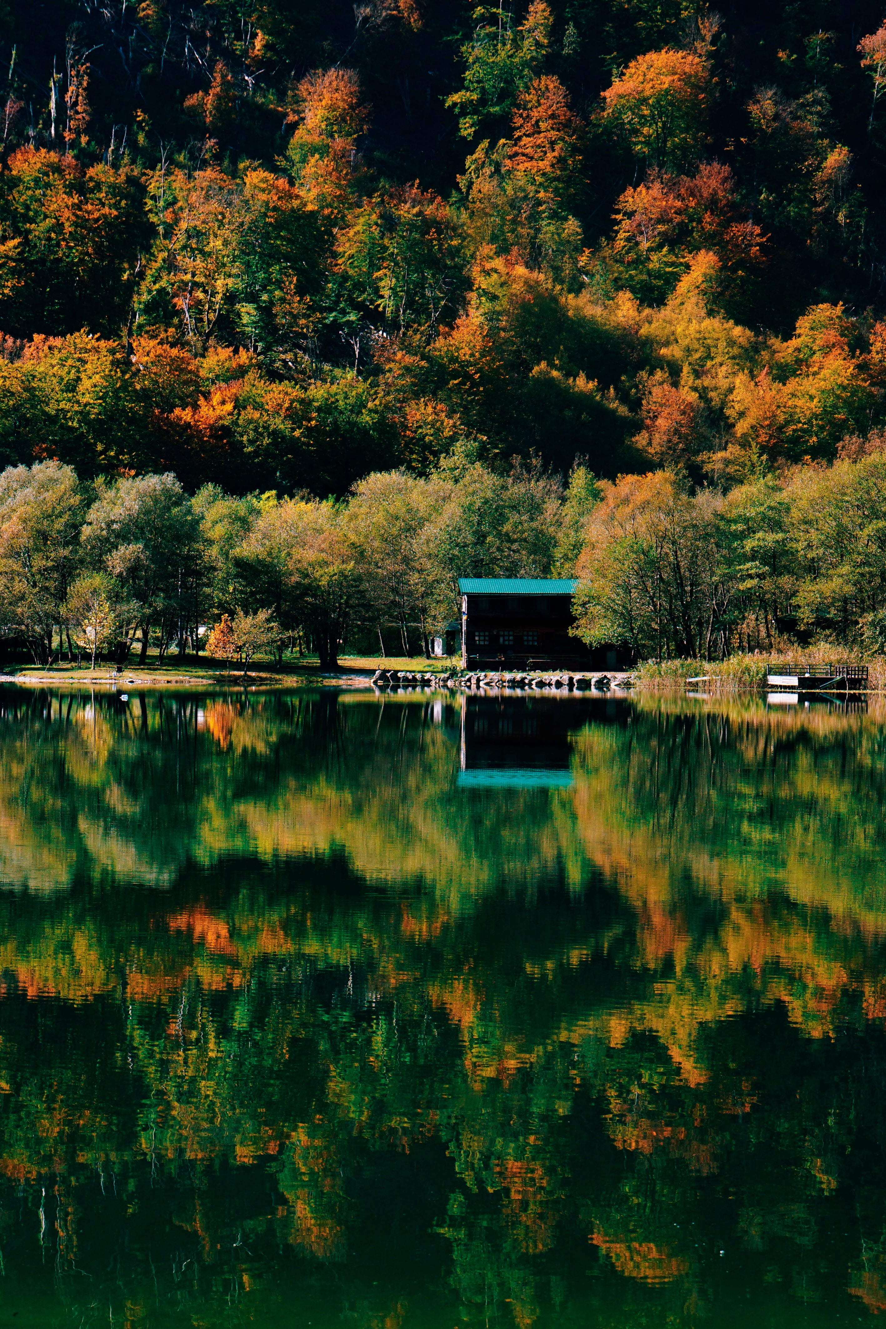Between trees and water