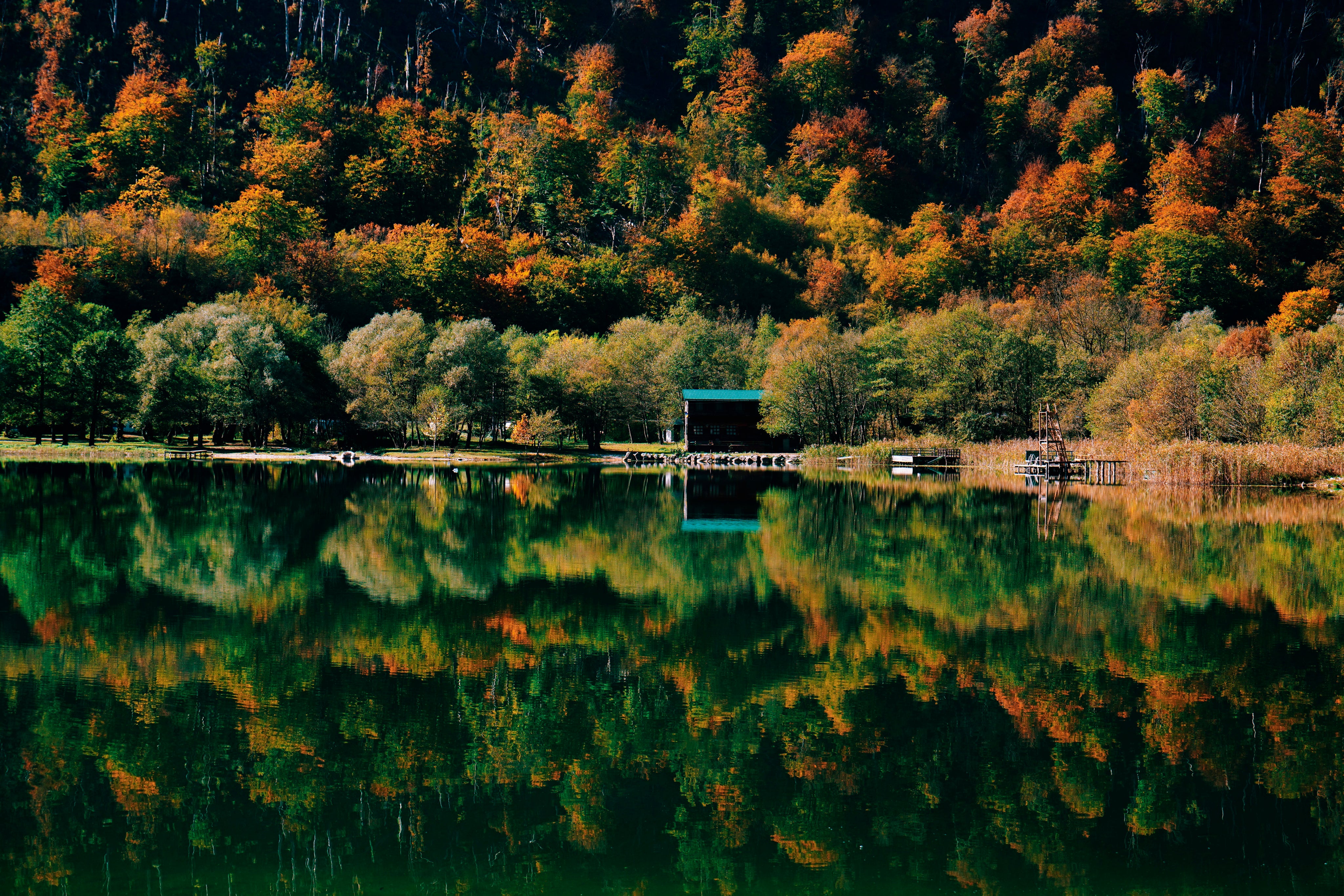 Betweentreesandwater-150x100cm.jpg